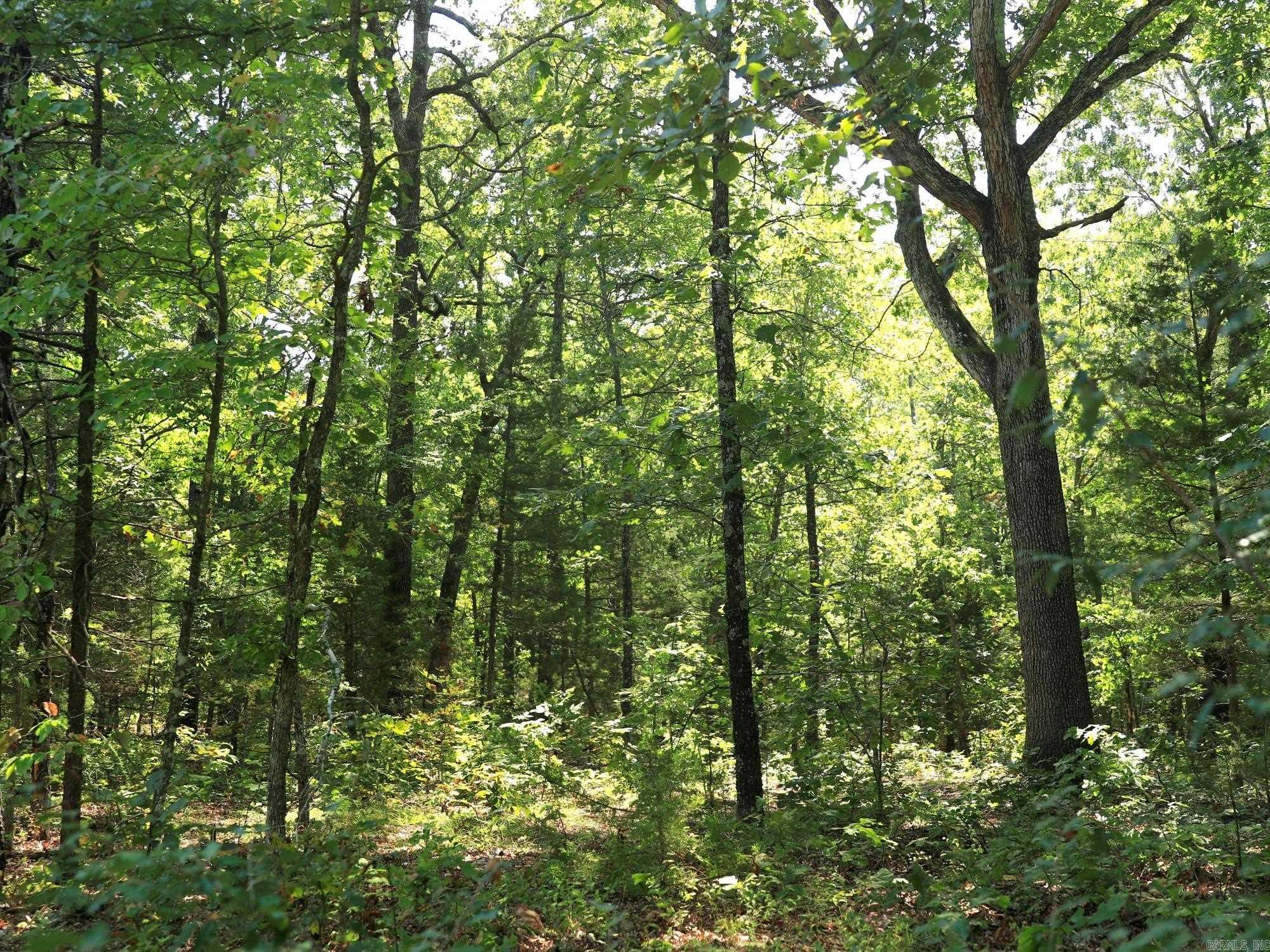 602 Catbird  Horseshoe Bend, AR