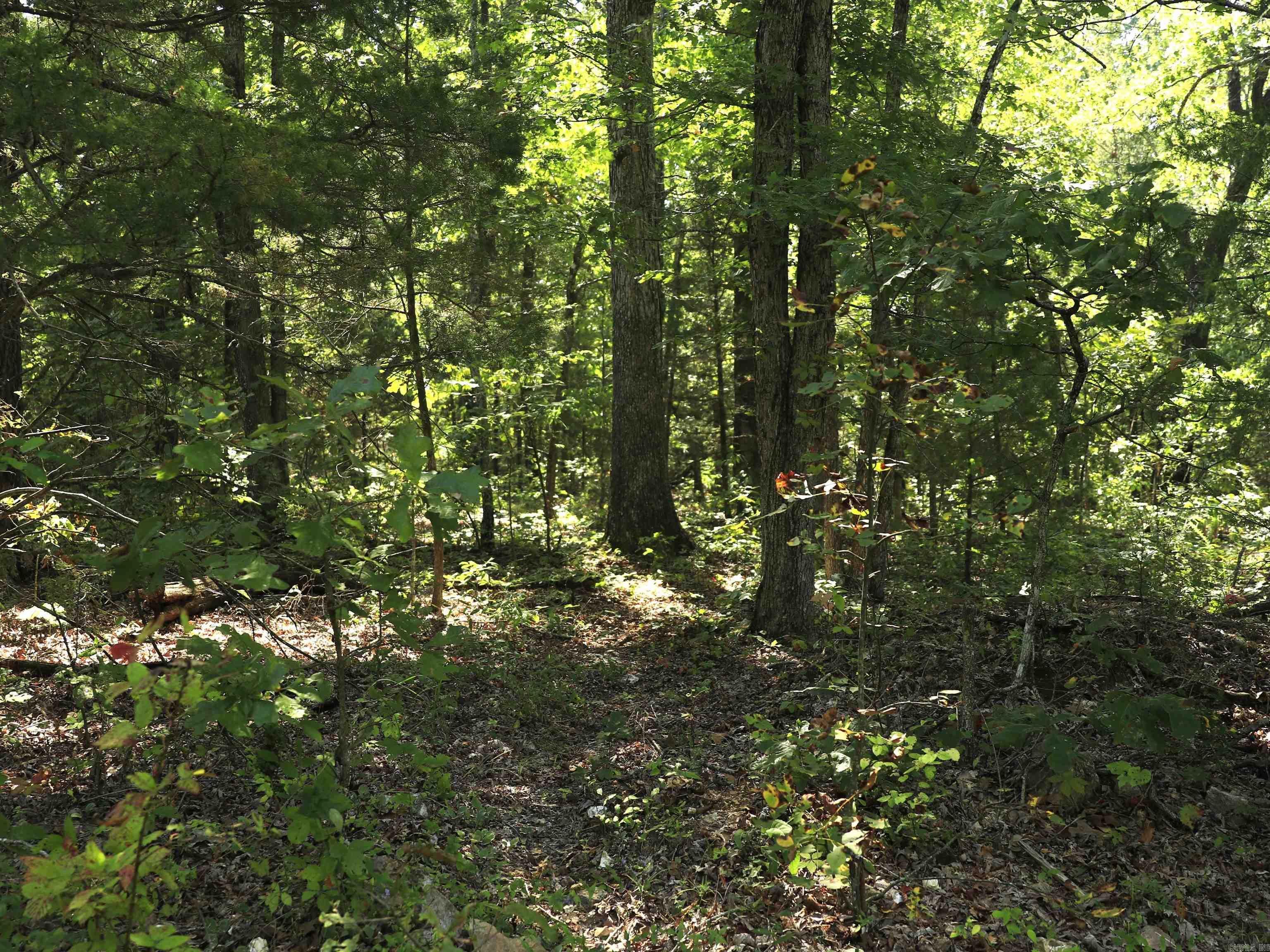 602 Catbird  Horseshoe Bend, AR