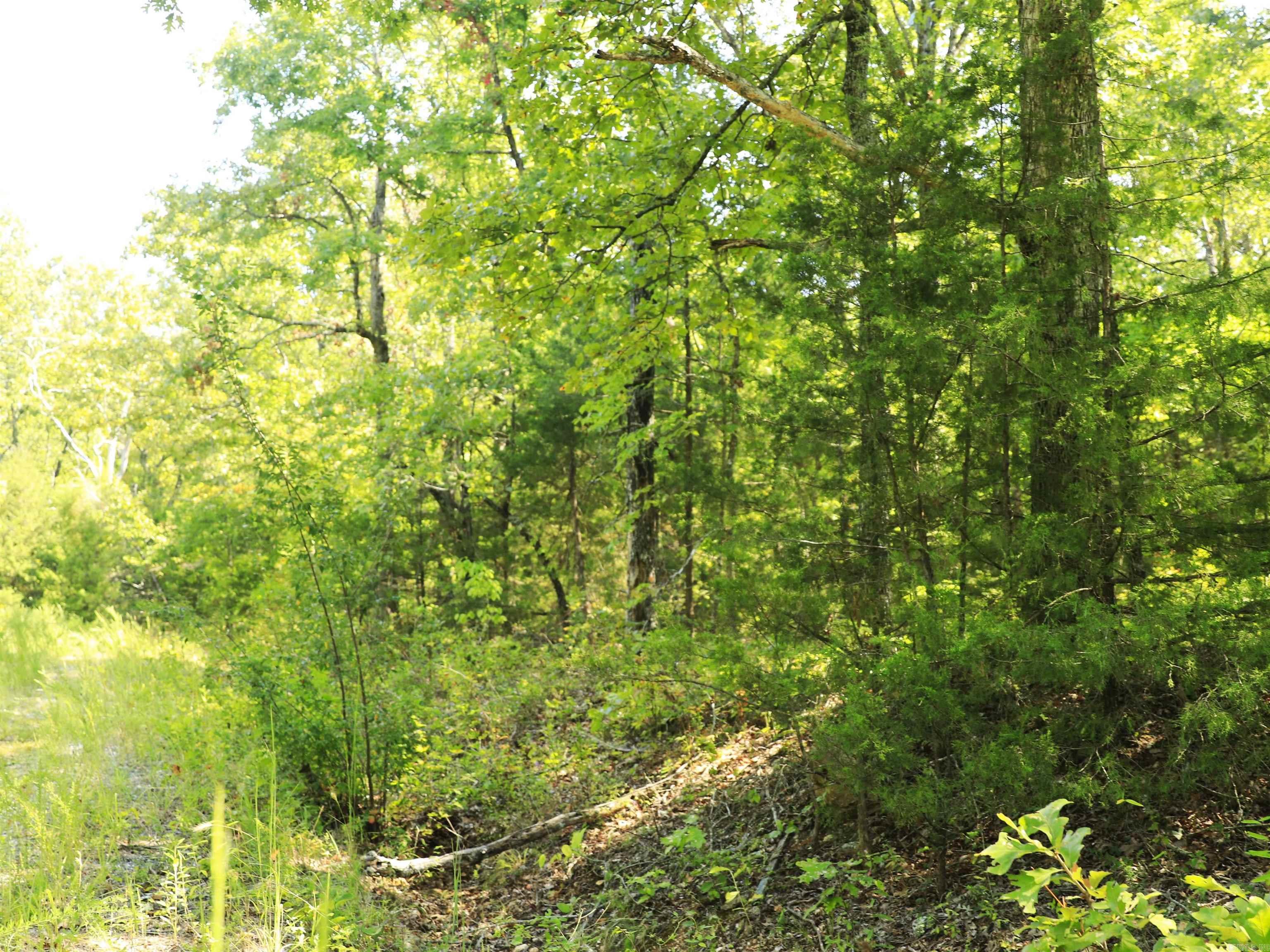 602 Catbird  Horseshoe Bend, AR