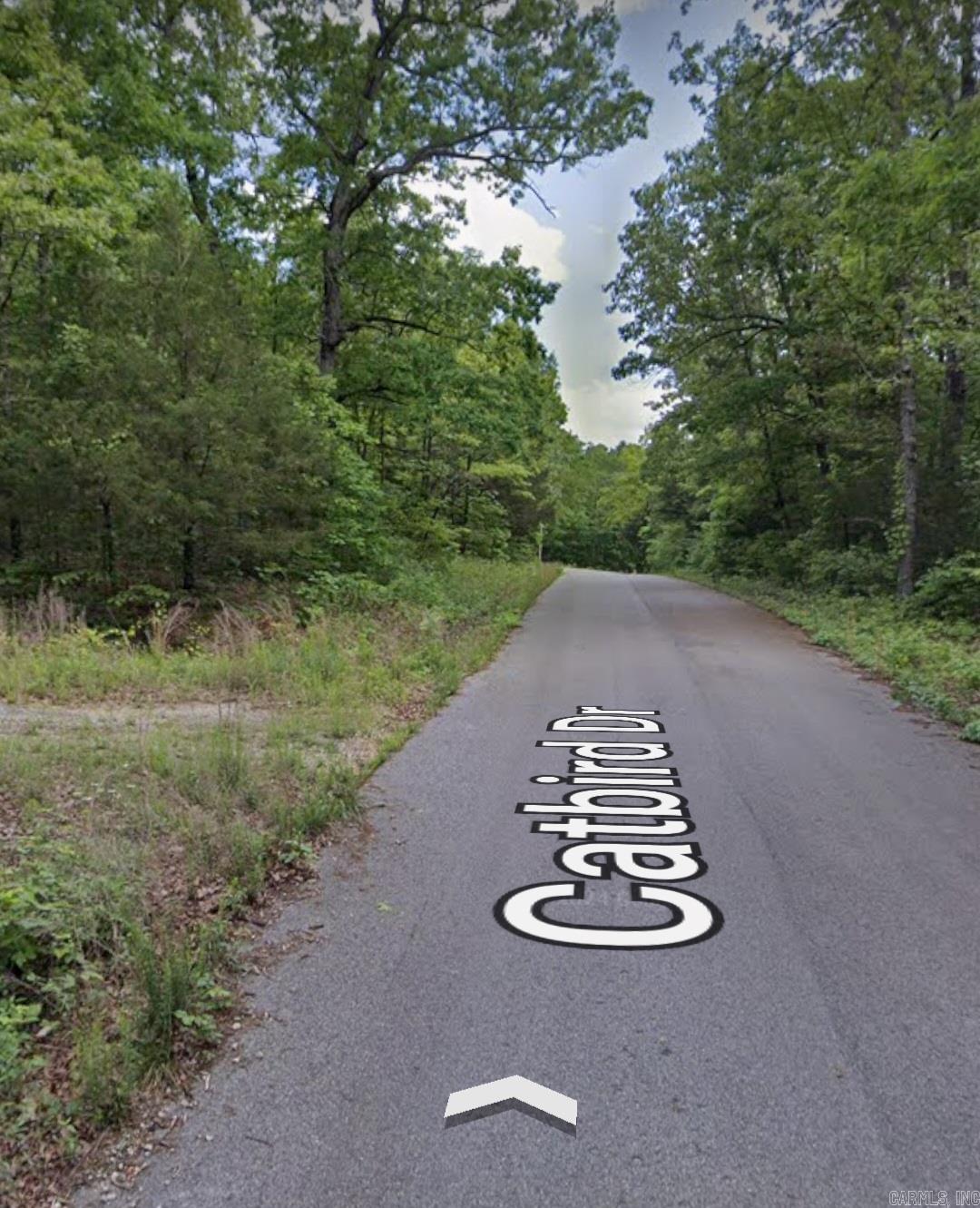 602 Catbird  Horseshoe Bend, AR