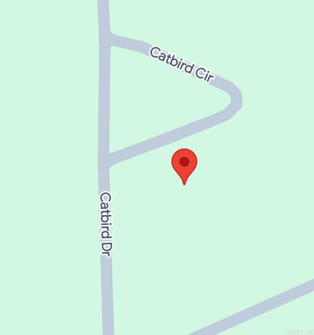 602 Catbird  Horseshoe Bend, AR