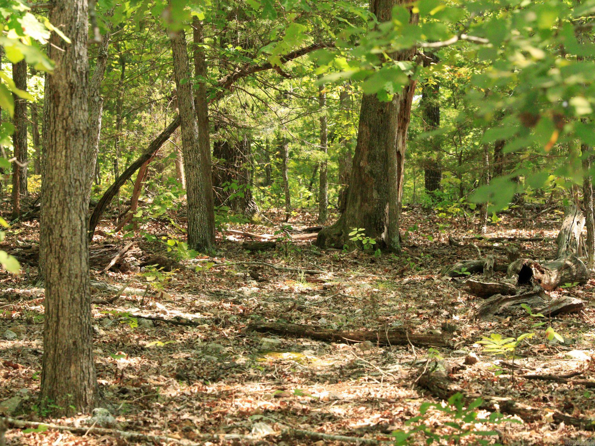 1303 Red Bird  Horseshoe Bend, AR