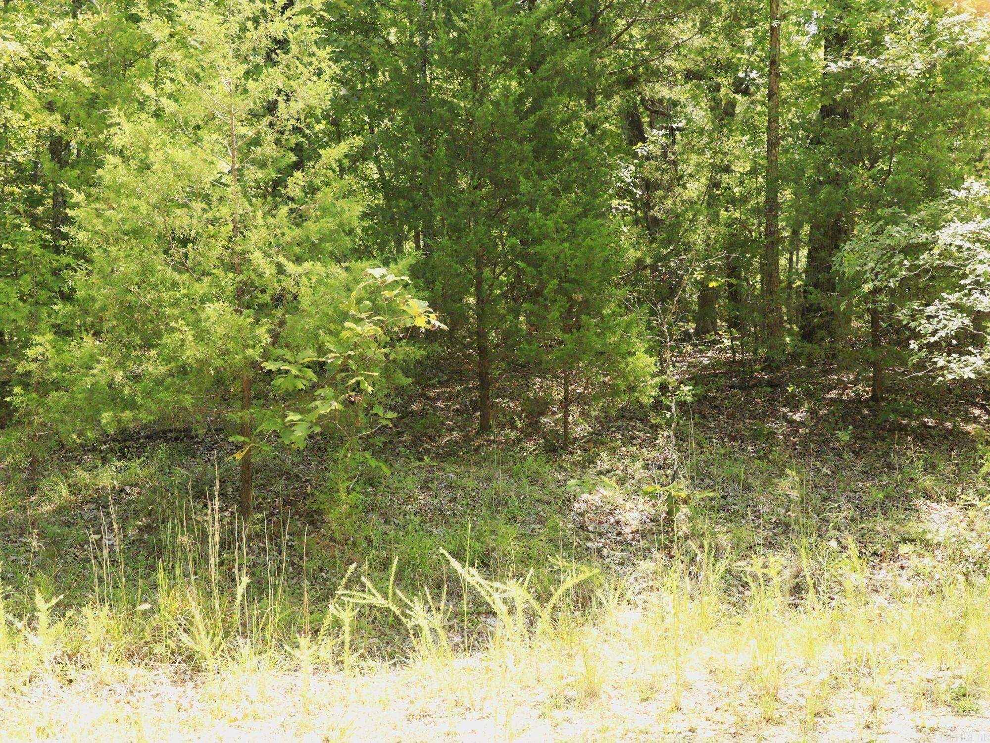 1303 Red Bird  Horseshoe Bend, AR