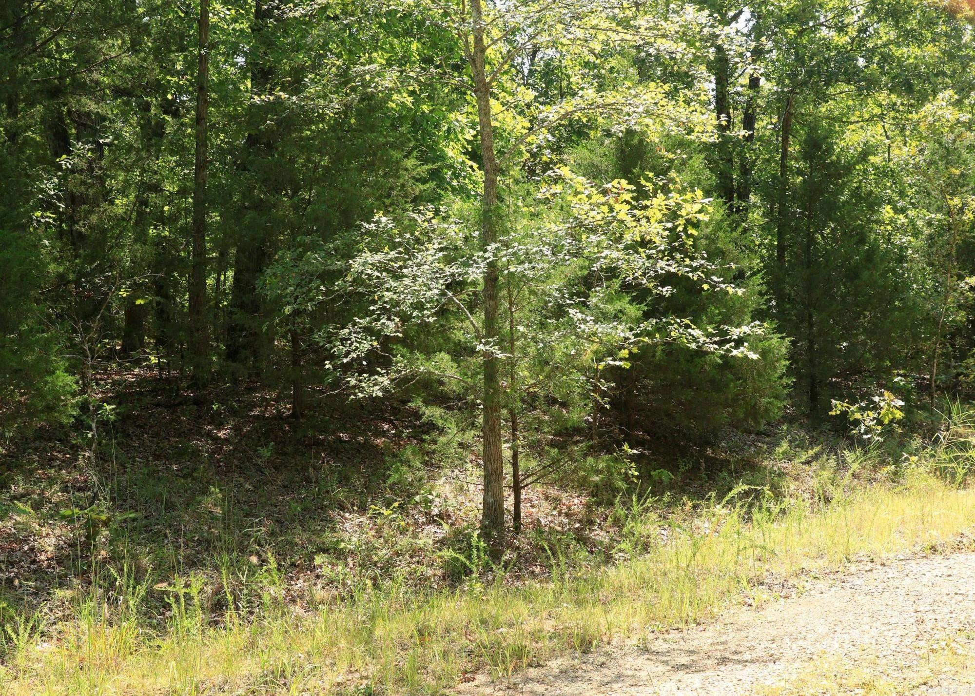 1303 Red Bird  Horseshoe Bend, AR