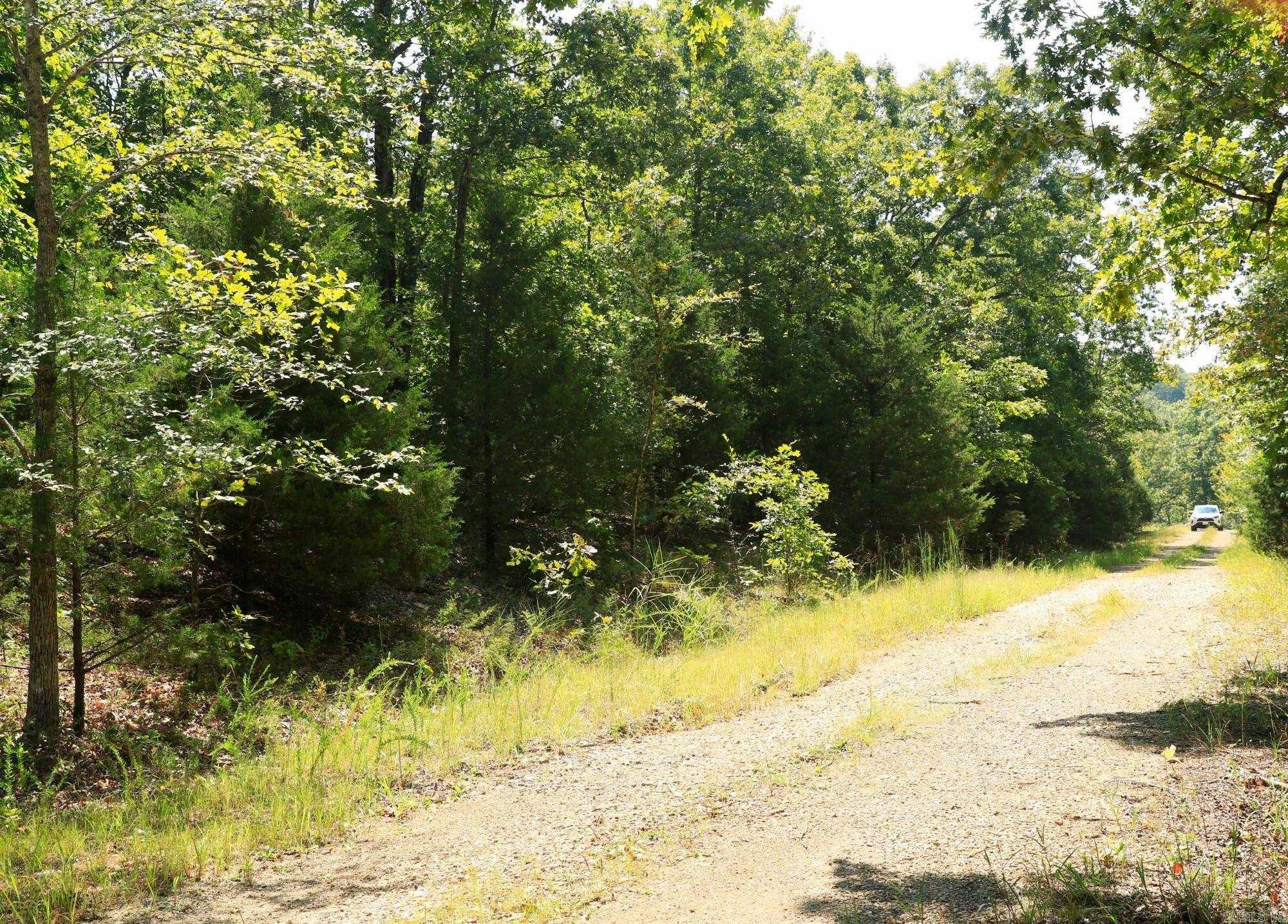 1303 Red Bird  Horseshoe Bend, AR