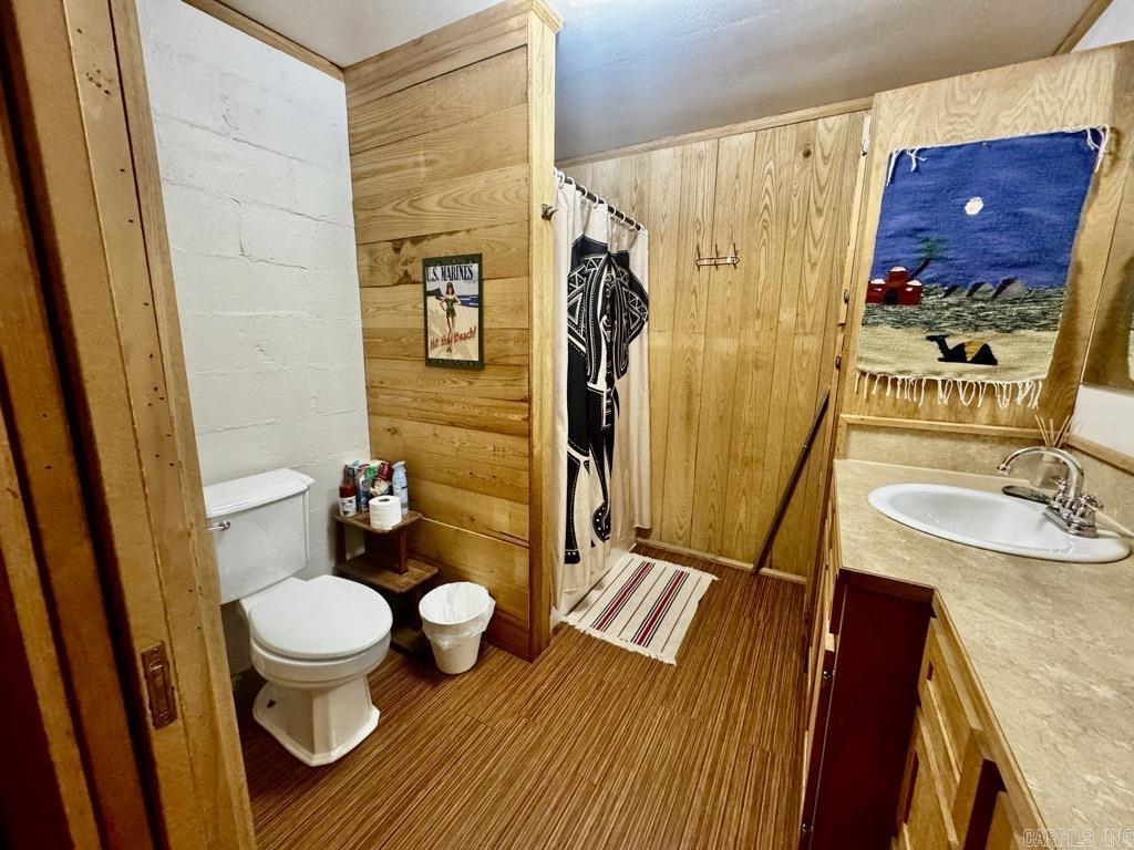 51 Cinnamon  Mount Ida, AR