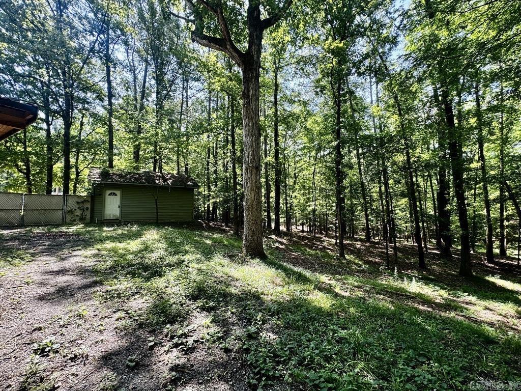 51 Cinnamon  Mount Ida, AR