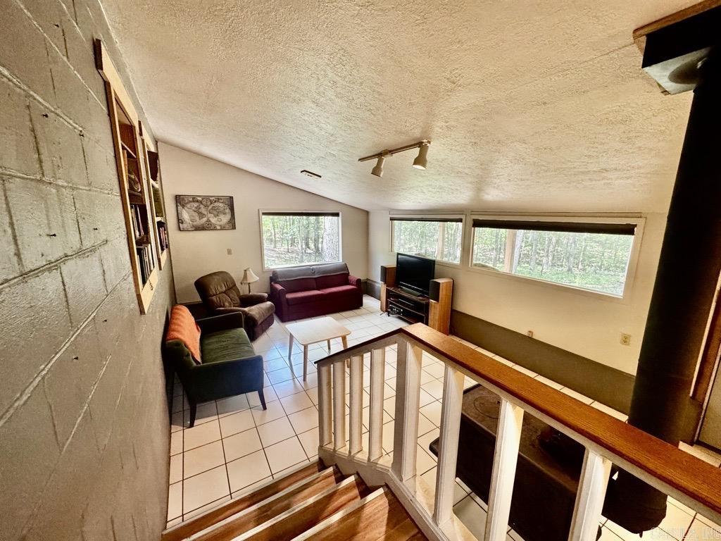 51 Cinnamon  Mount Ida, AR