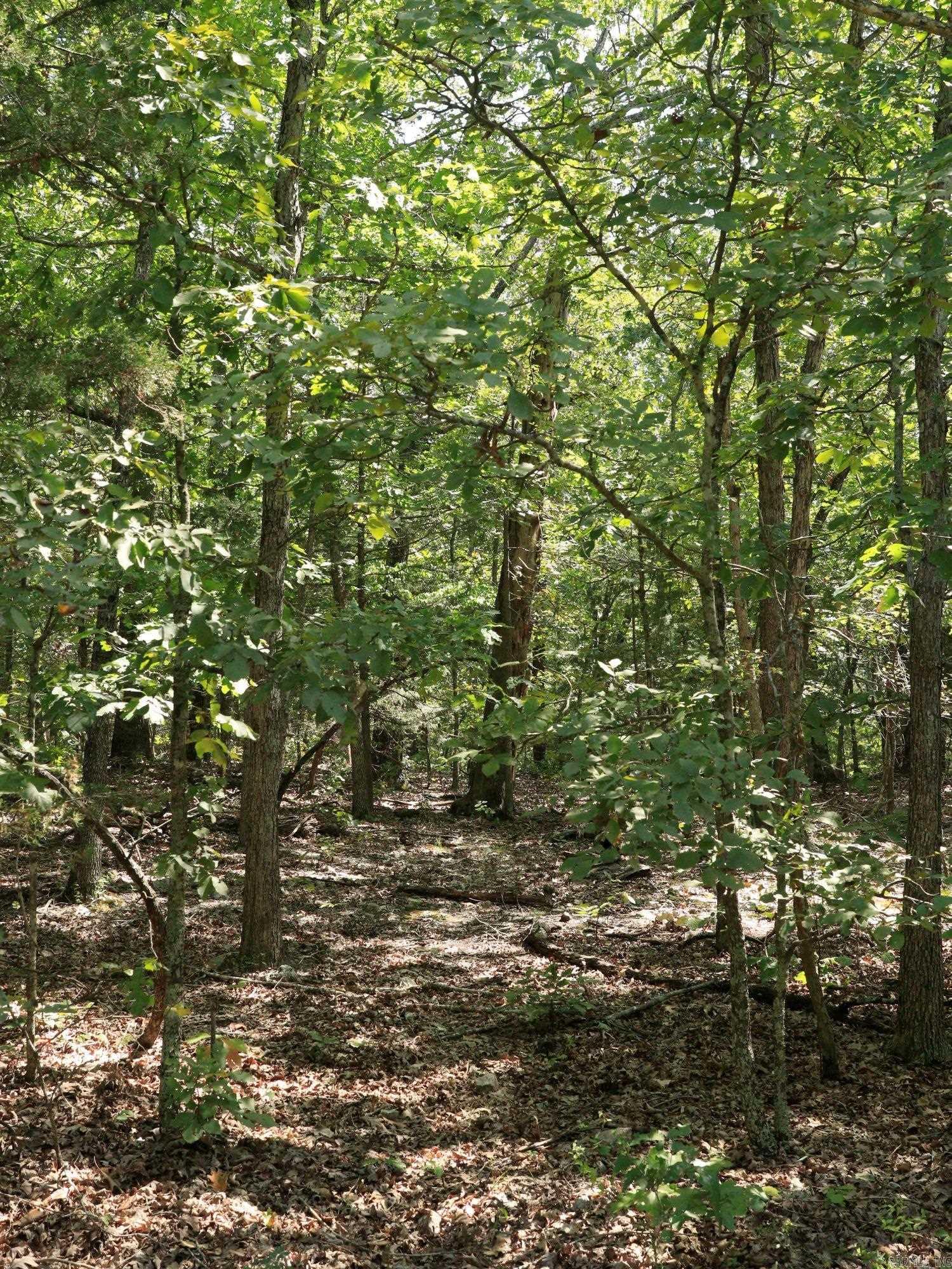 1215 Red Bird  Horseshoe Bend, AR