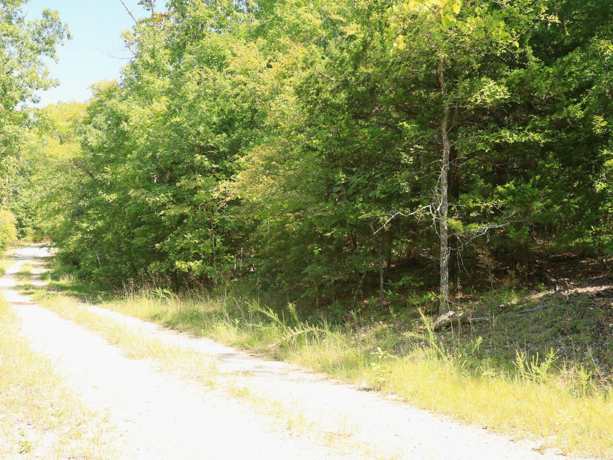 1215 Red Bird  Horseshoe Bend, AR