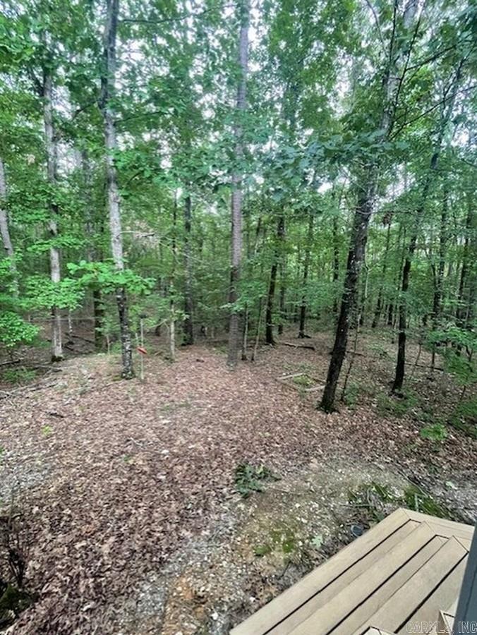 163 Quail Run  Mount Ida, AR
