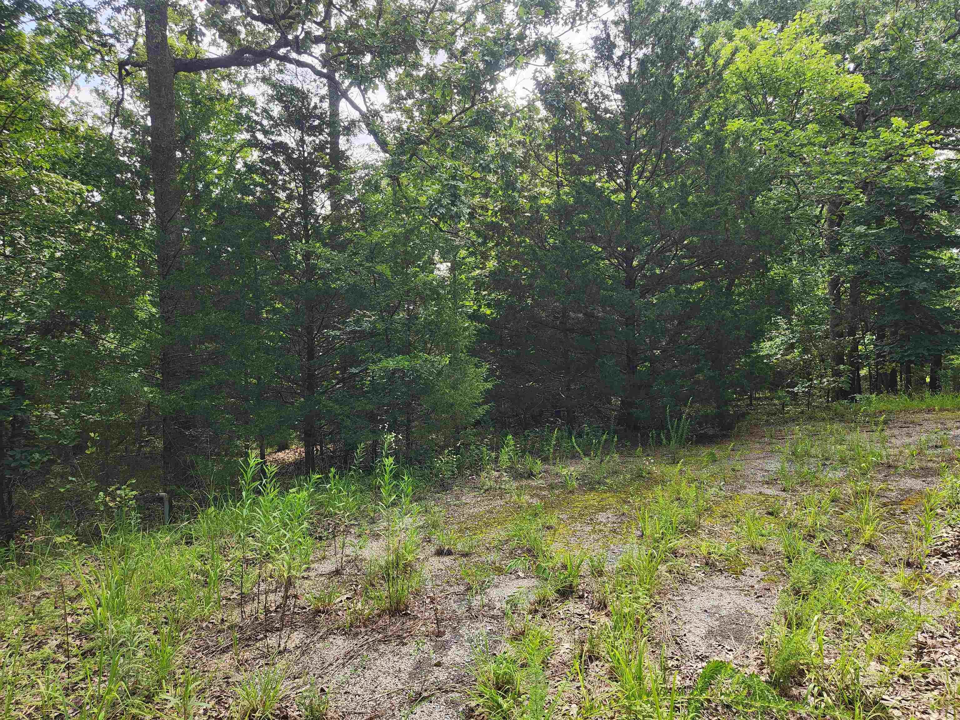 L21B1 Coyotero  Cherokee Village, AR