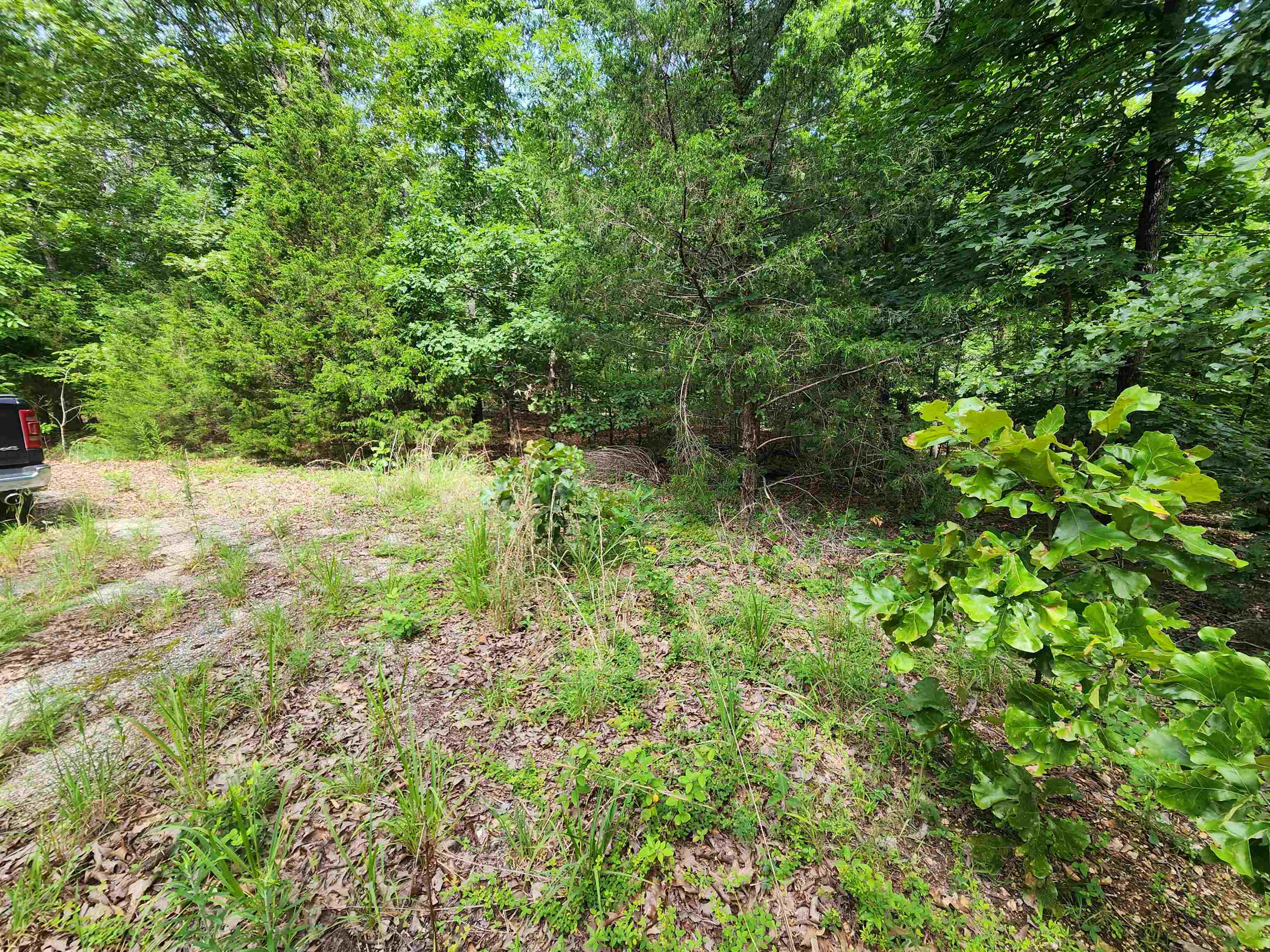 L21B1 Coyotero  Cherokee Village, AR