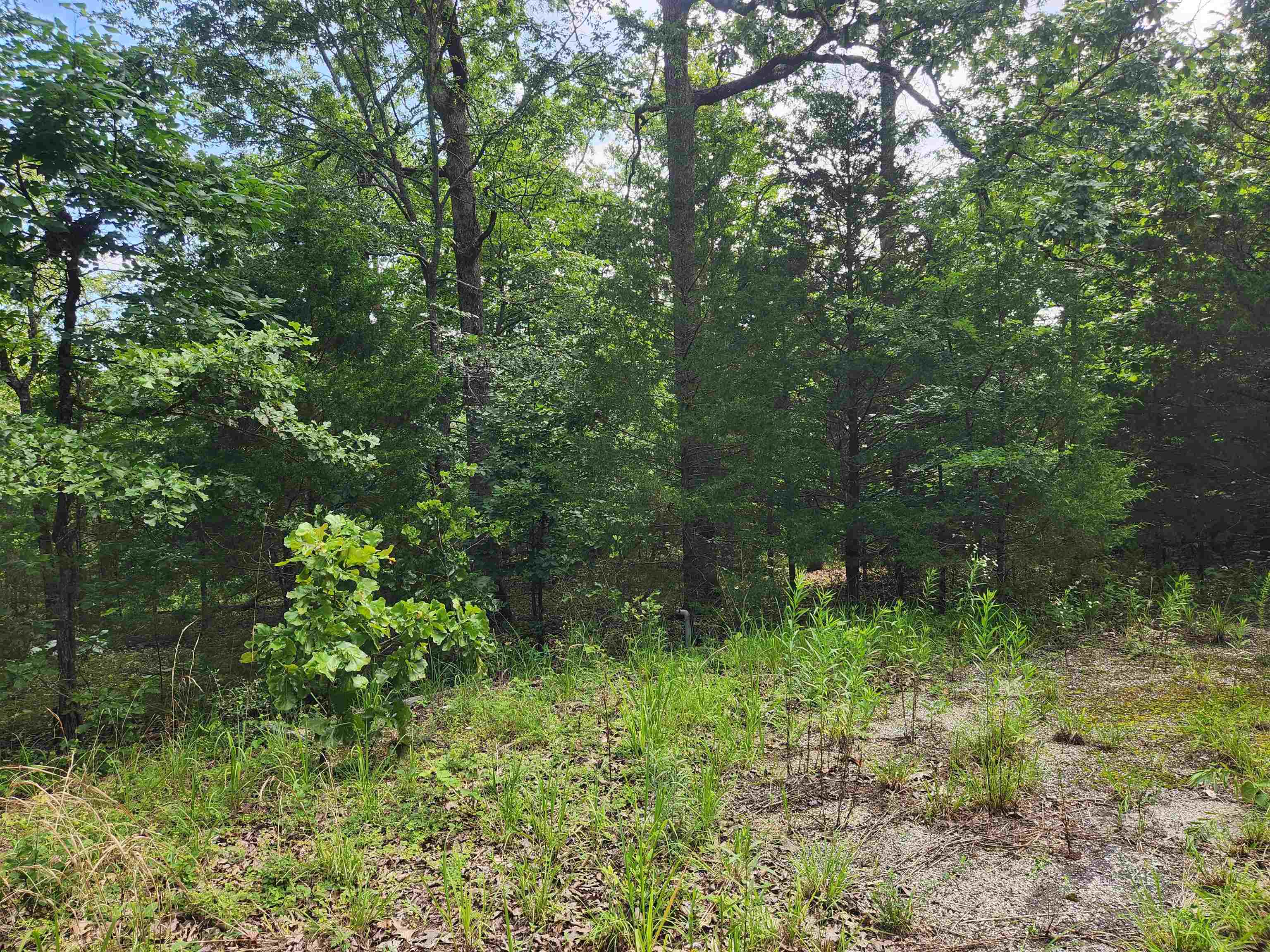 L21B1 Coyotero  Cherokee Village, AR