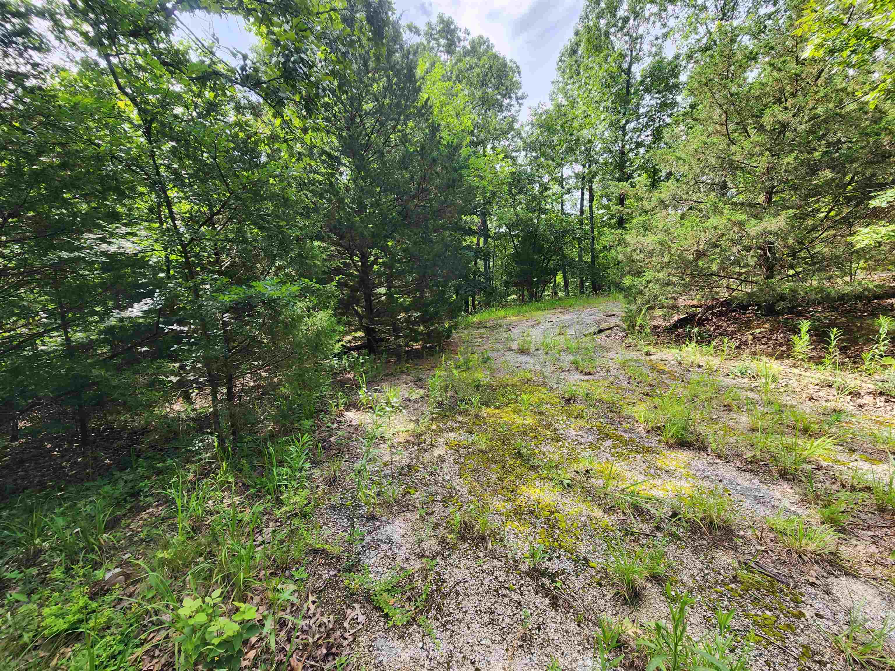 L21B1 Coyotero  Cherokee Village, AR
