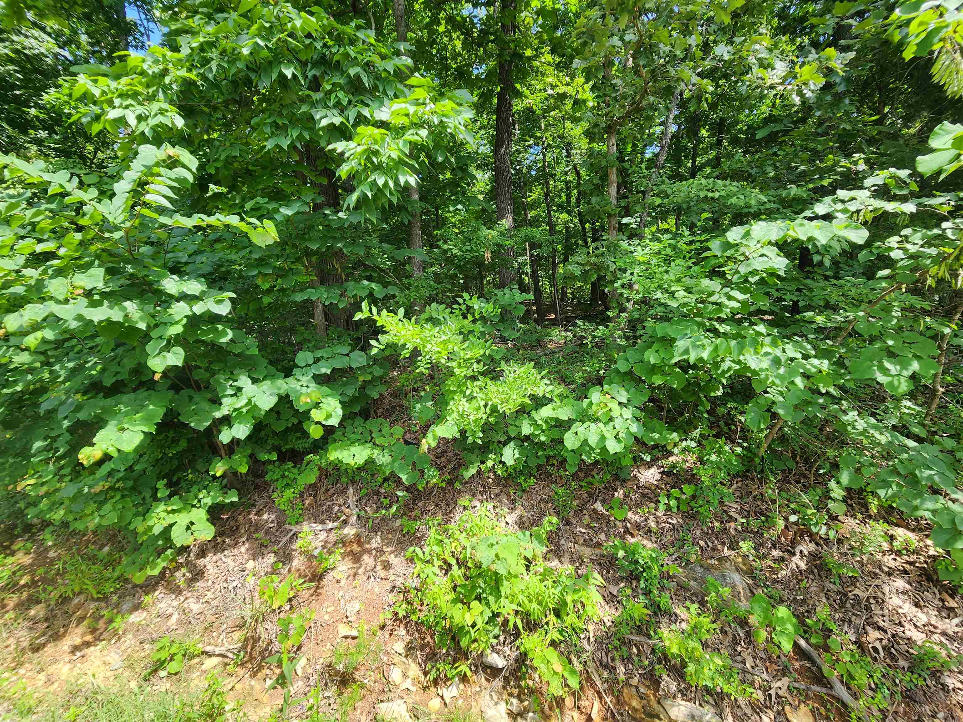 L37B12 N lakeshore  Cherokee Village, AR