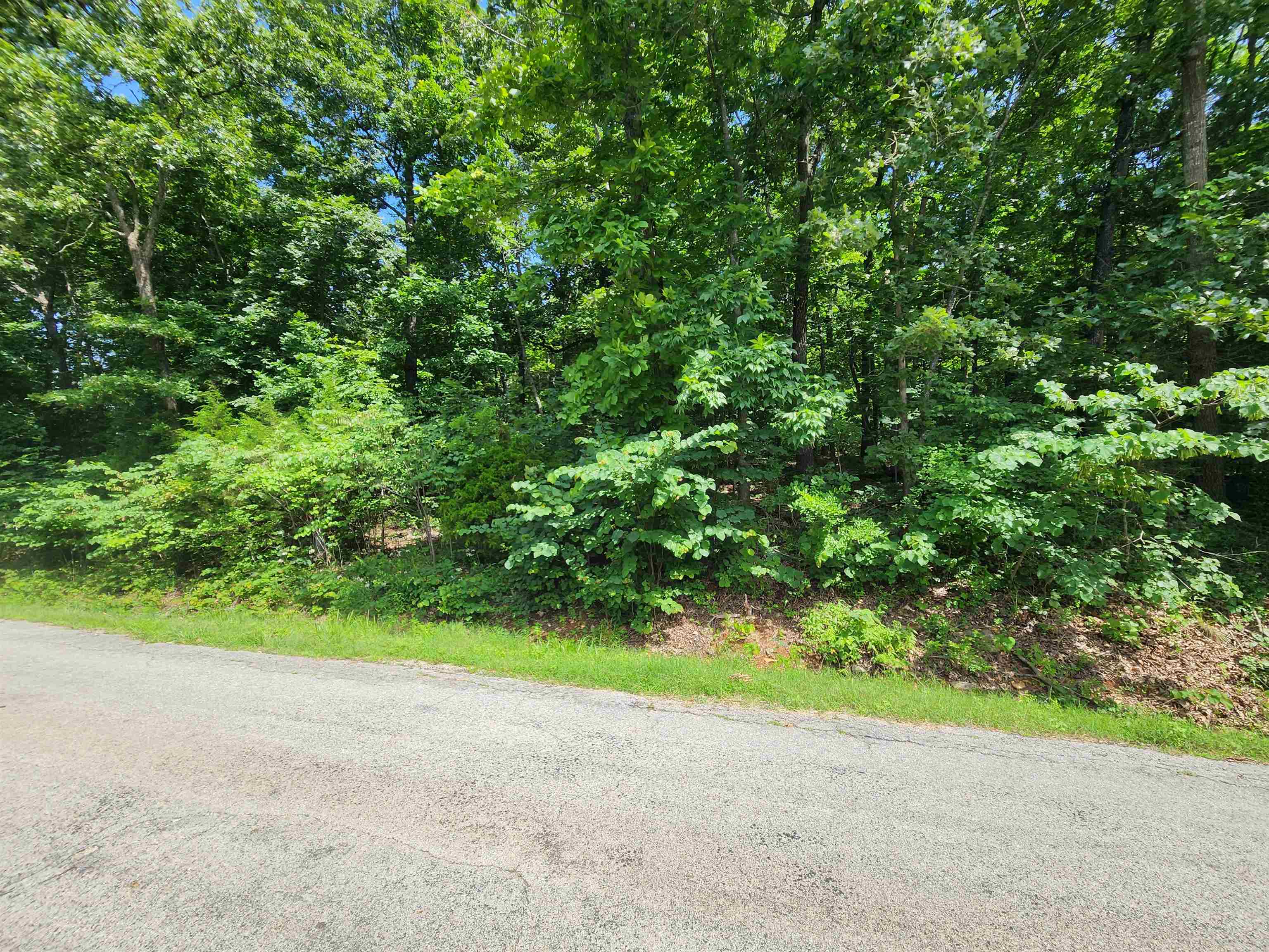 L37B12 N lakeshore  Cherokee Village, AR