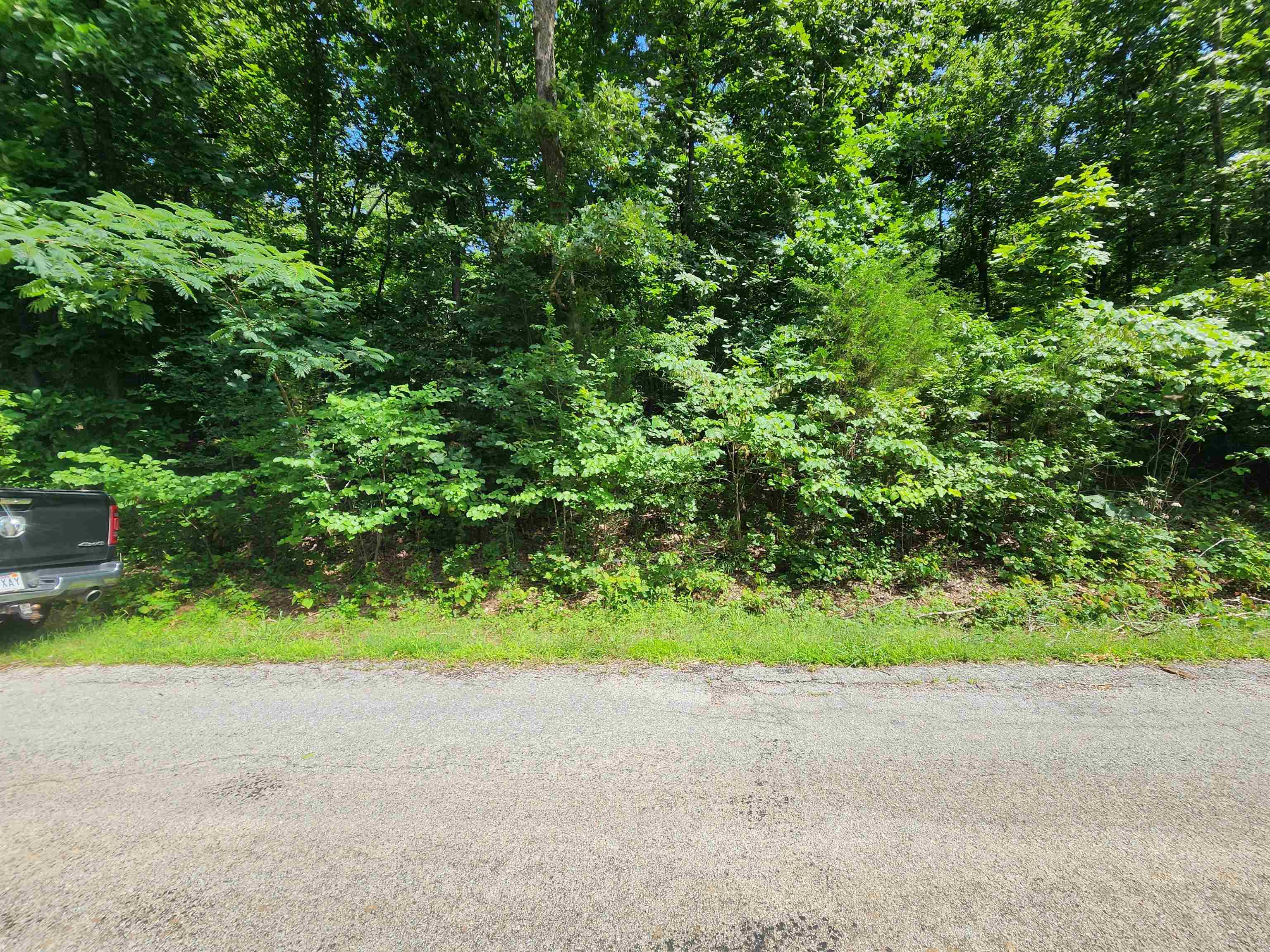 L37B12 N lakeshore  Cherokee Village, AR