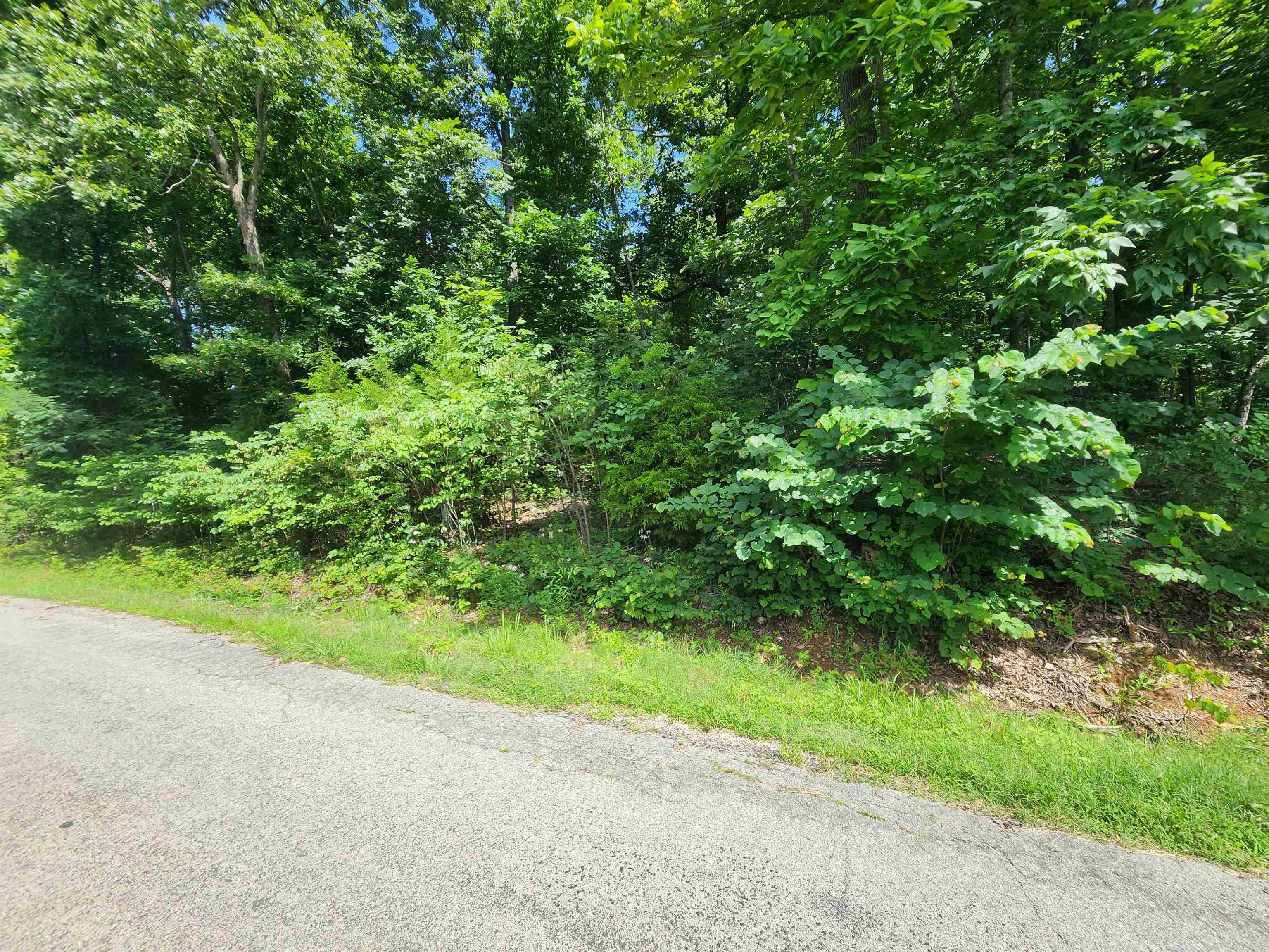 L37B12 N lakeshore  Cherokee Village, AR