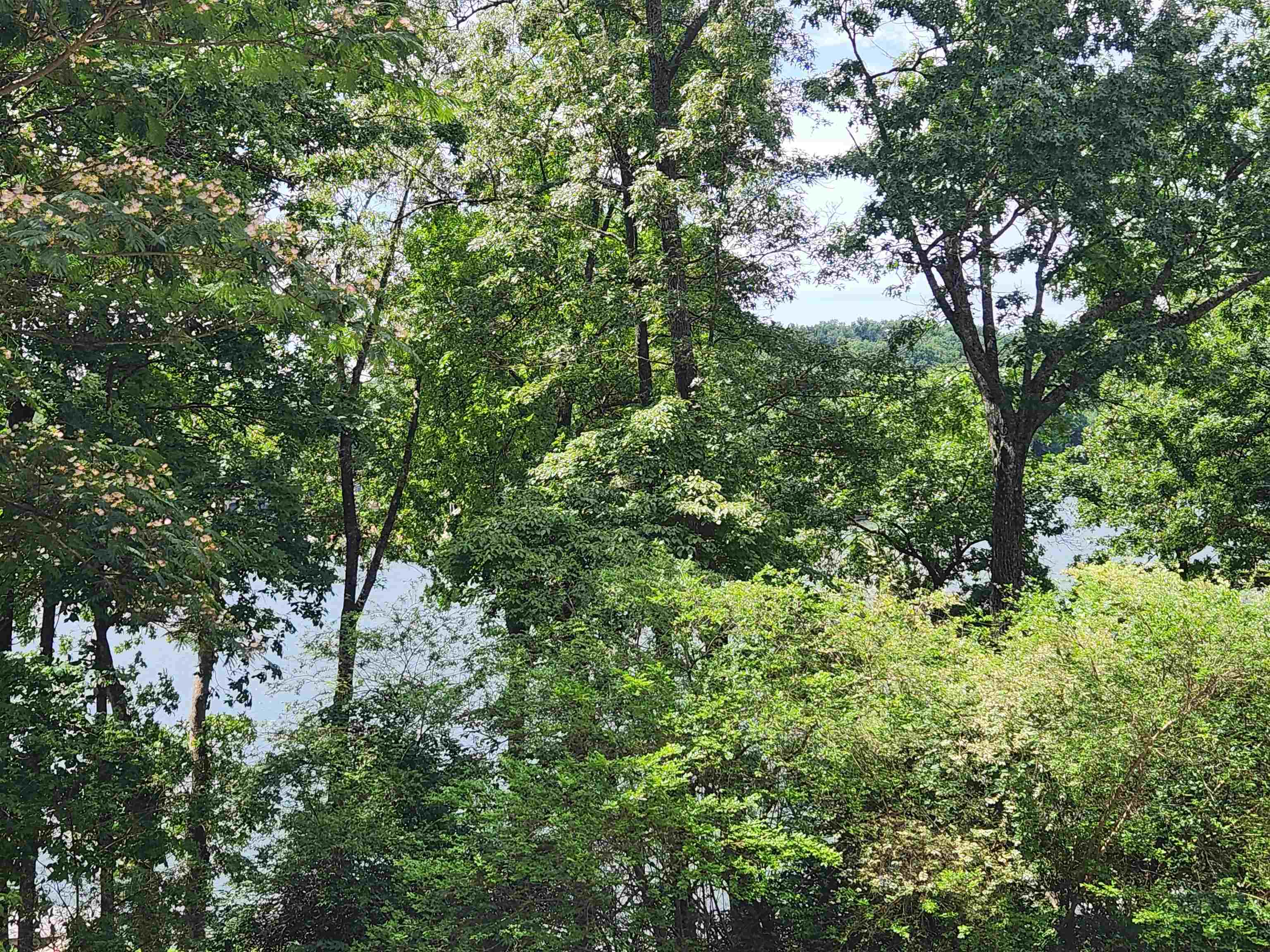 L37B12 N lakeshore  Cherokee Village, AR