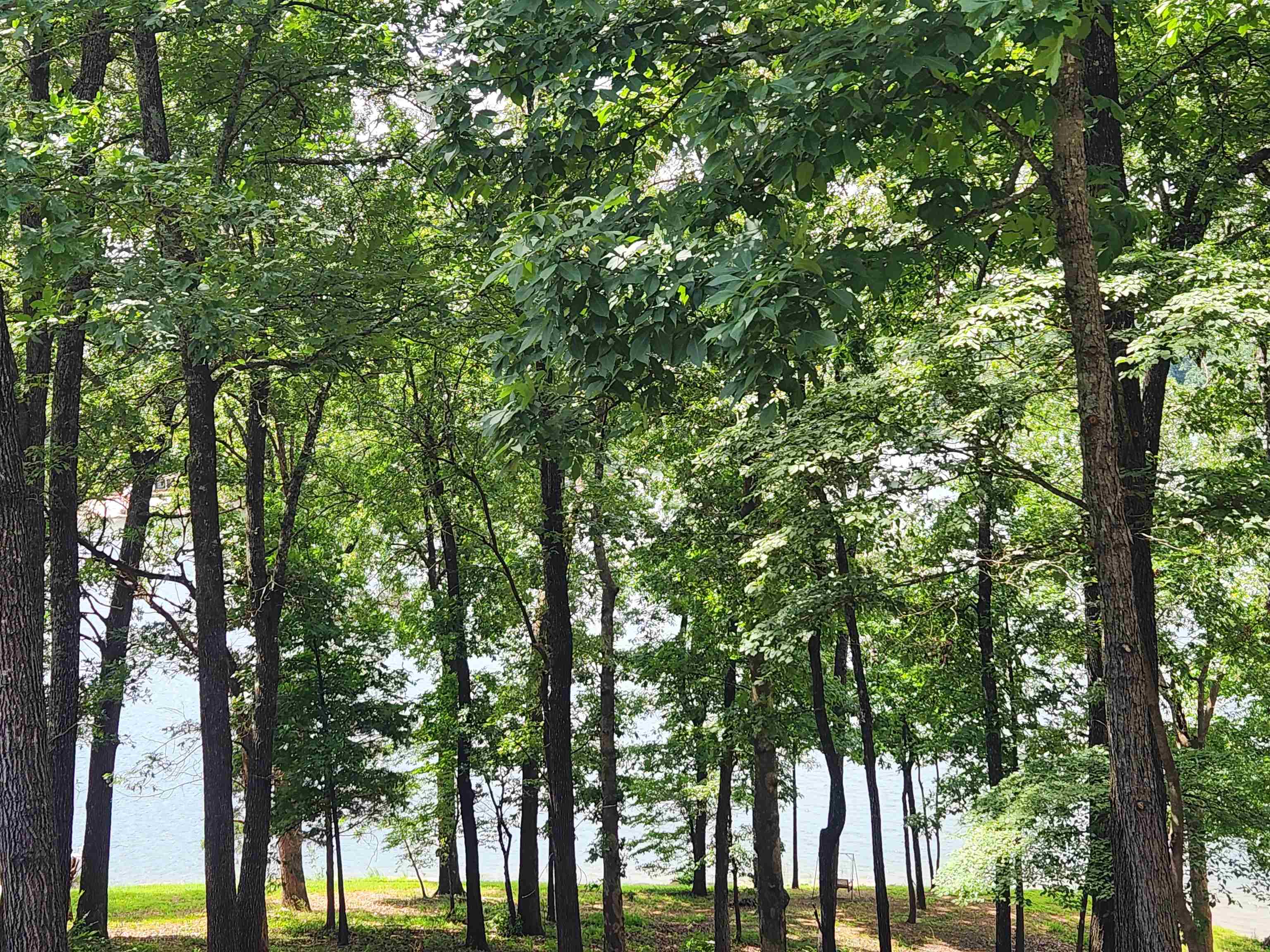 L37B12 N lakeshore  Cherokee Village, AR