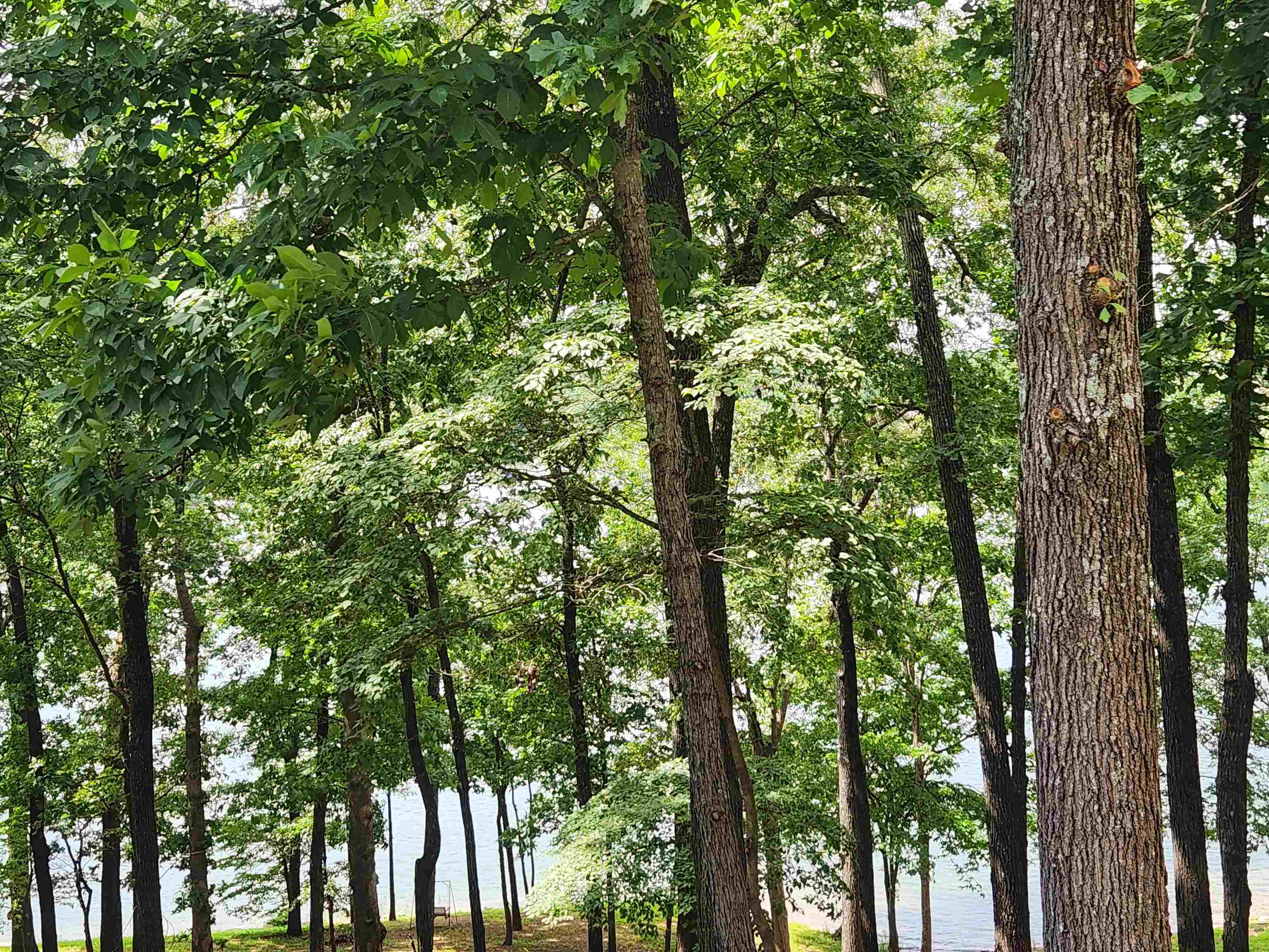 L37B12 N lakeshore  Cherokee Village, AR