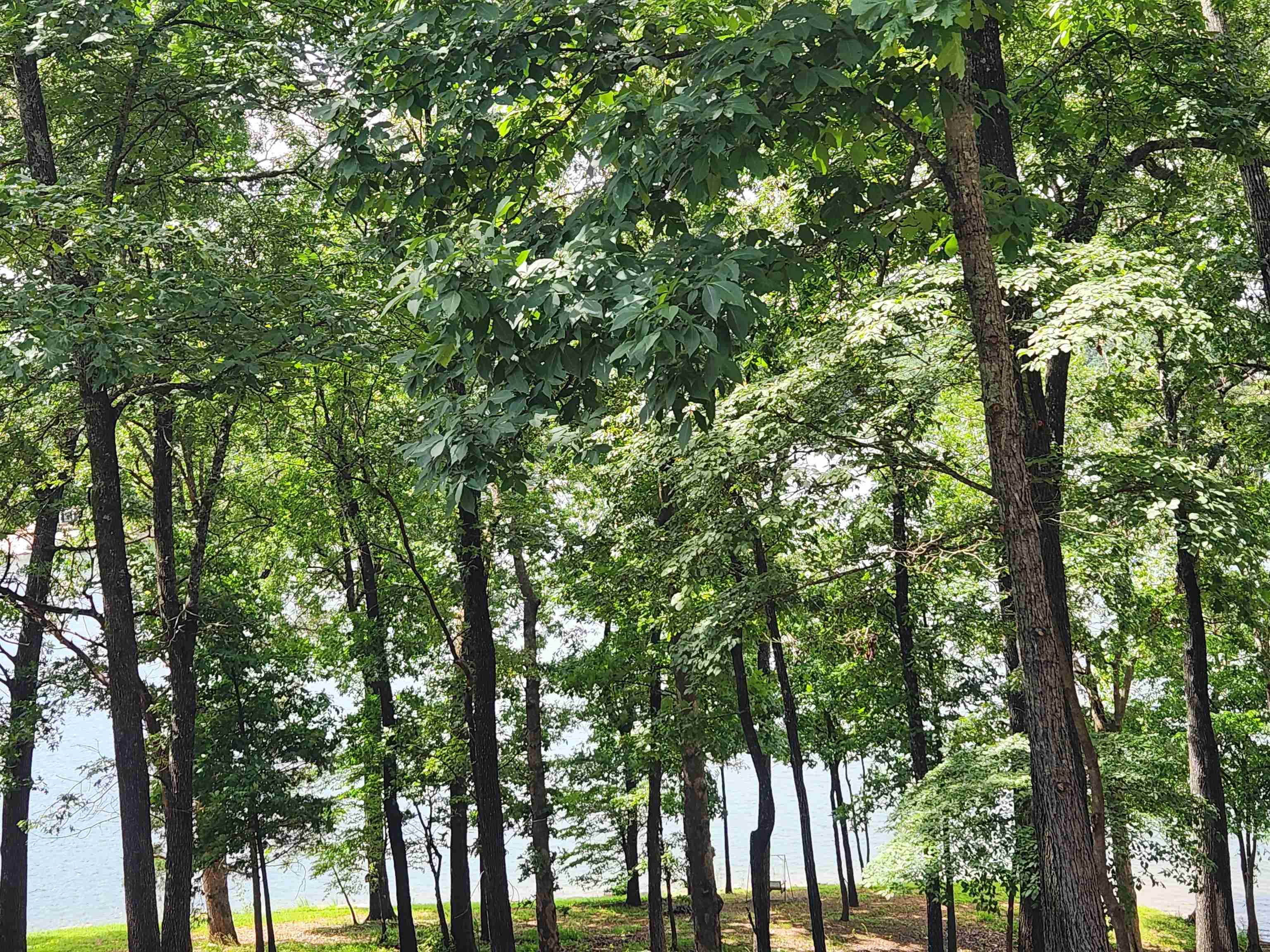 L37B12 N lakeshore  Cherokee Village, AR