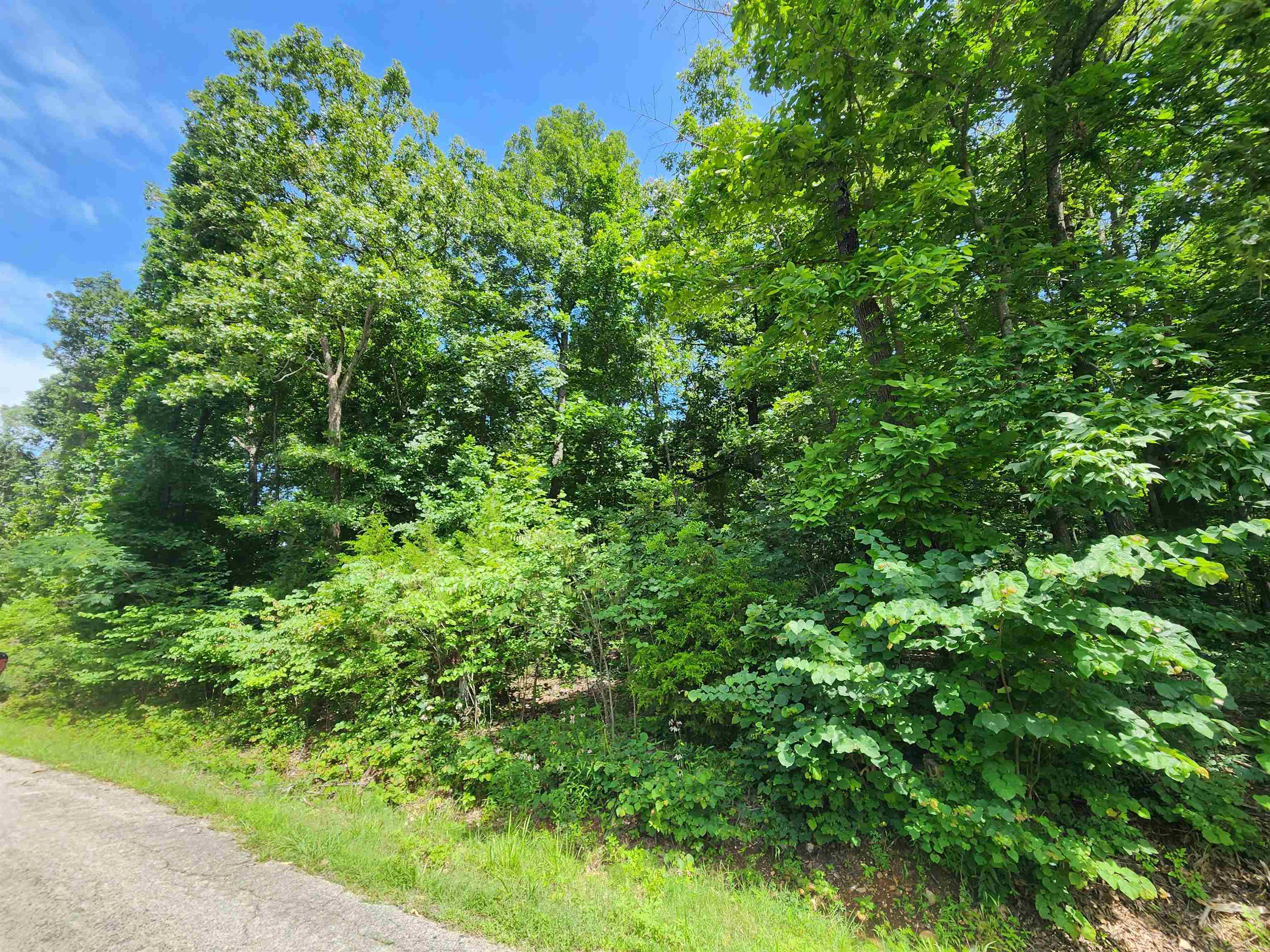 L37B12 N lakeshore  Cherokee Village, AR