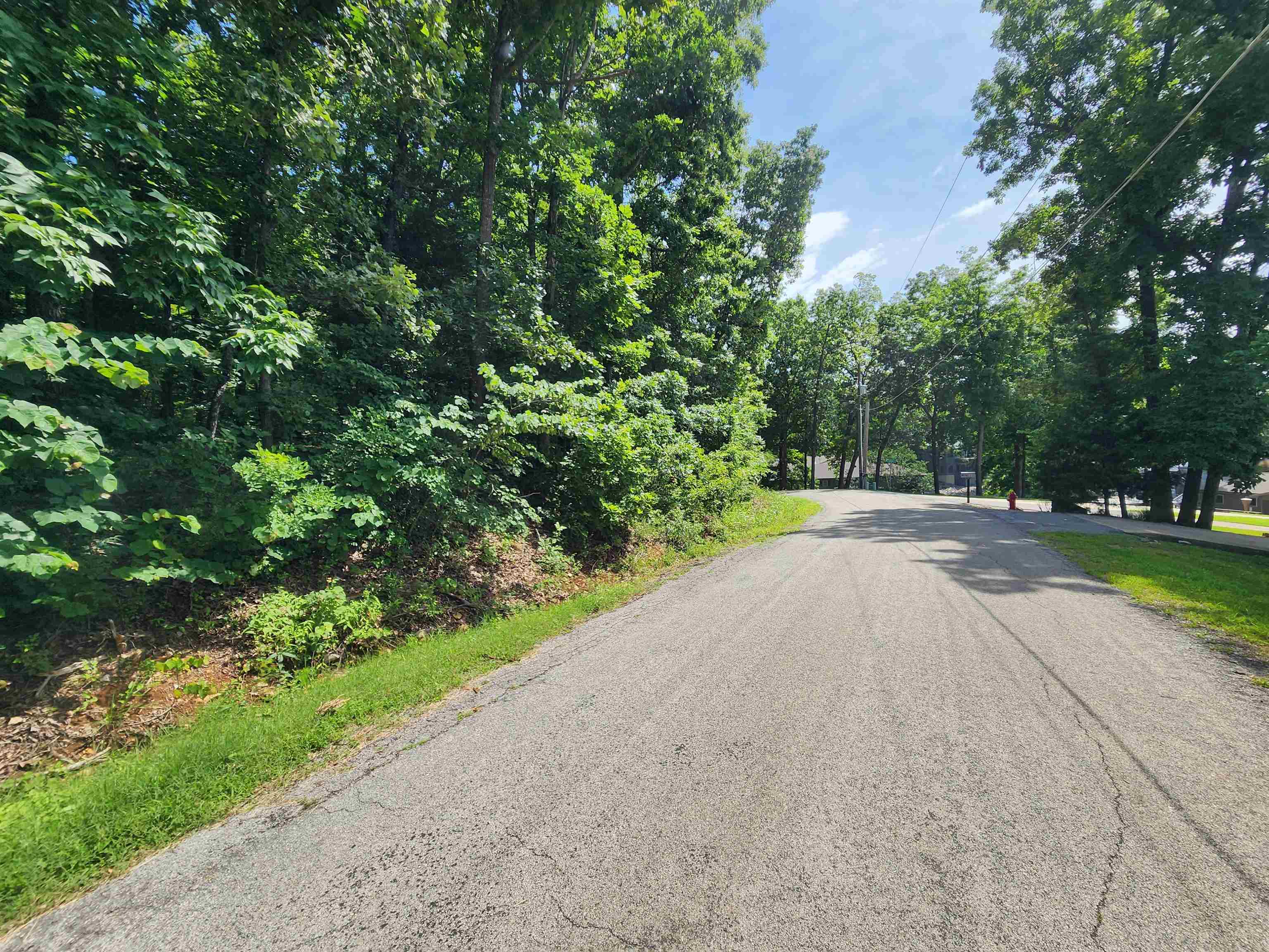 L37B12 N lakeshore  Cherokee Village, AR