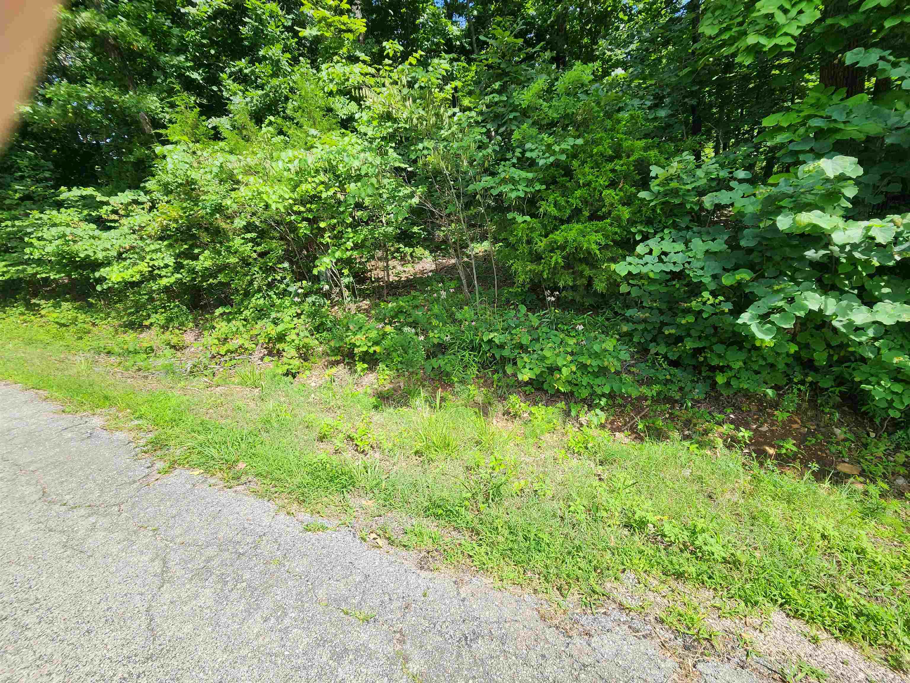 L37B12 N lakeshore  Cherokee Village, AR