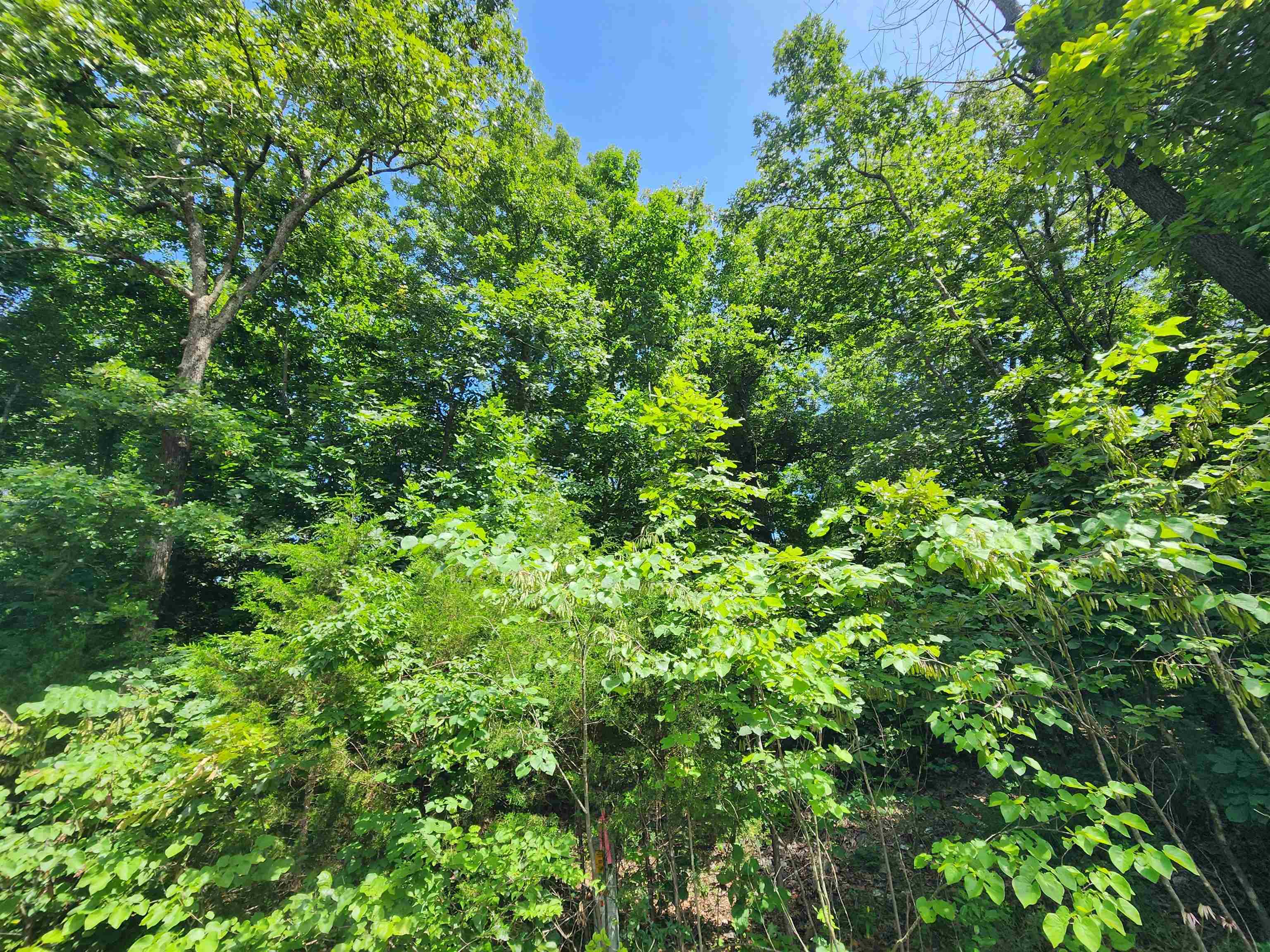 L37B12 N lakeshore  Cherokee Village, AR