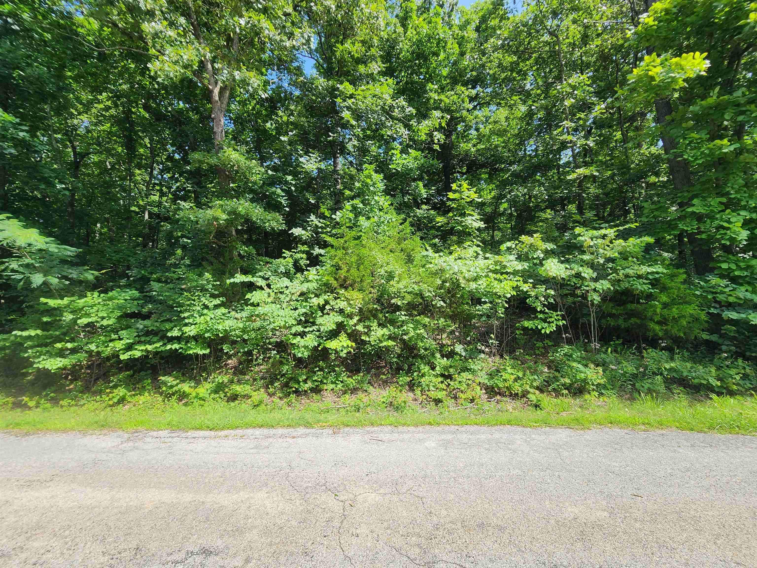 L37B12 N lakeshore  Cherokee Village, AR