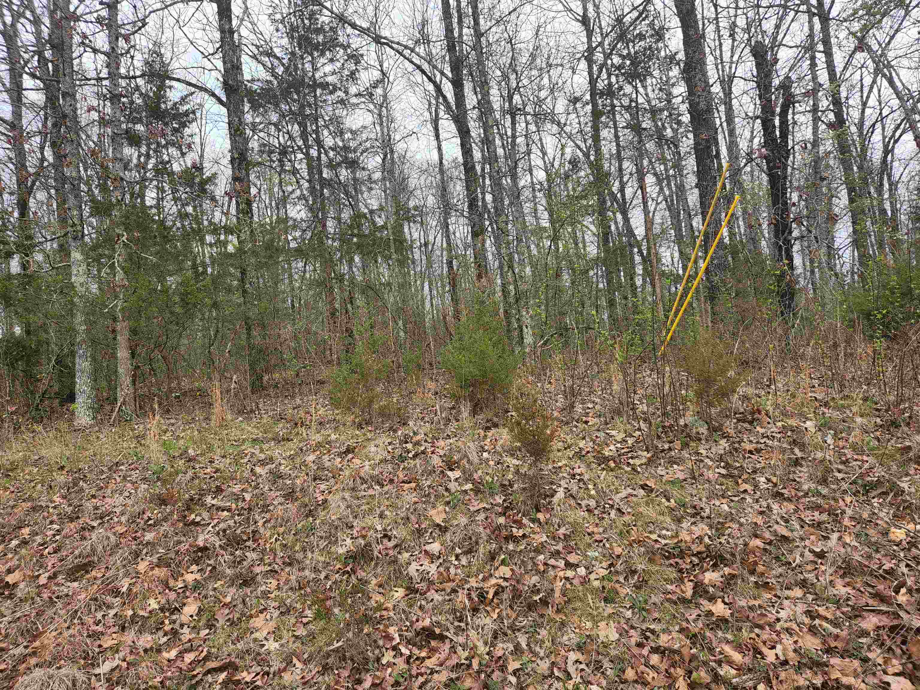  Pinal  Cherokee Village, AR