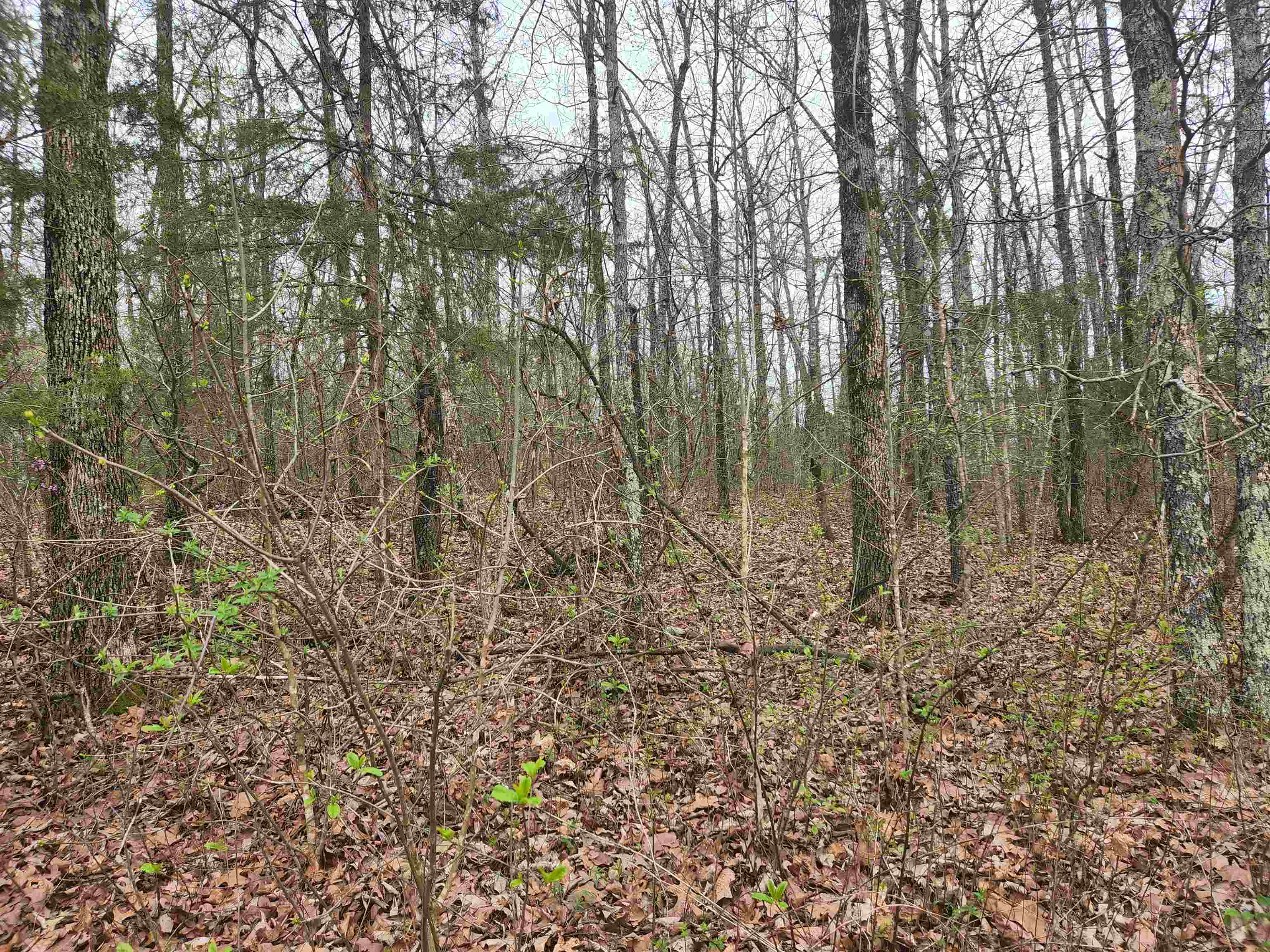  Pinal  Cherokee Village, AR
