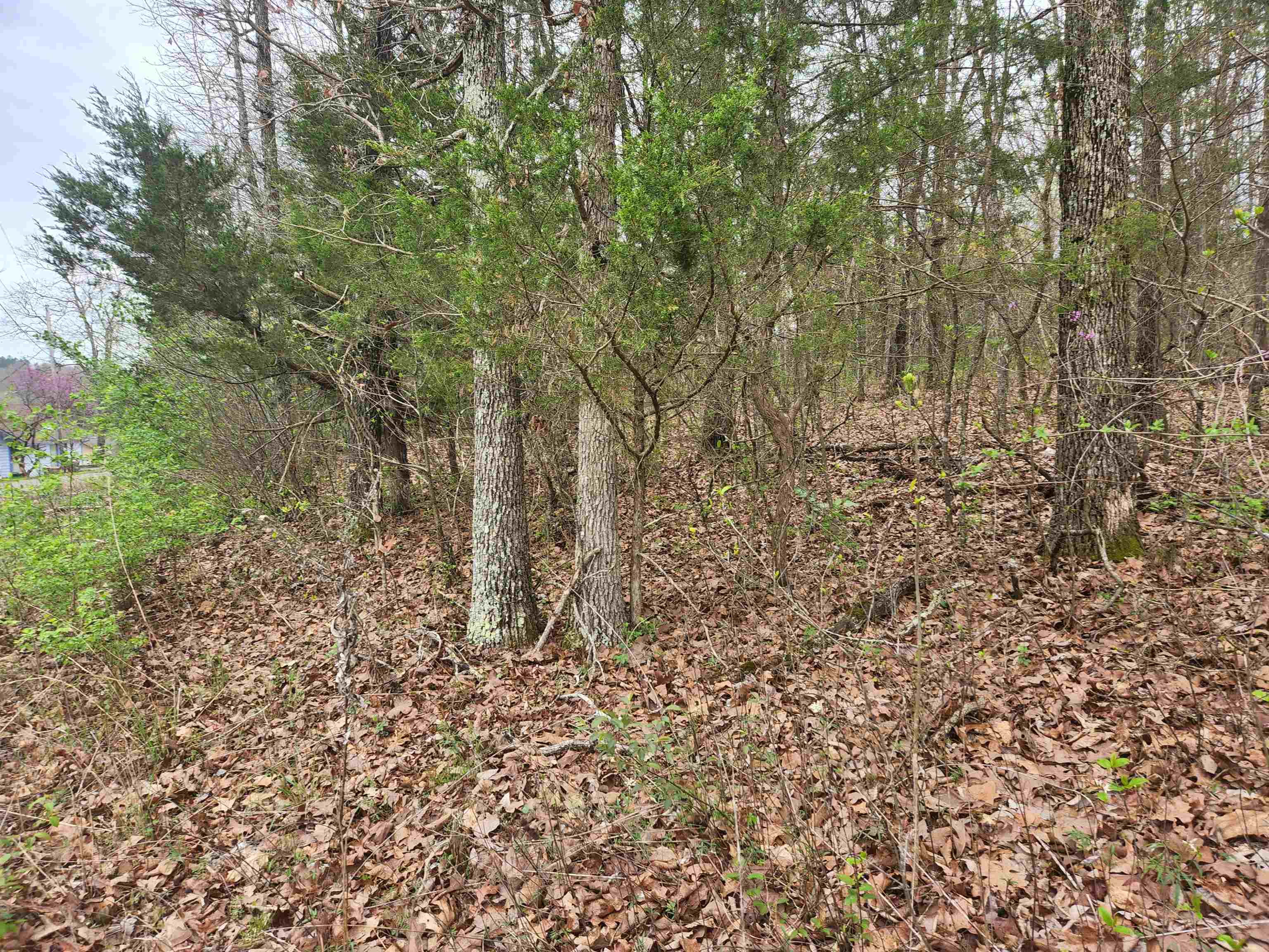  Pinal  Cherokee Village, AR