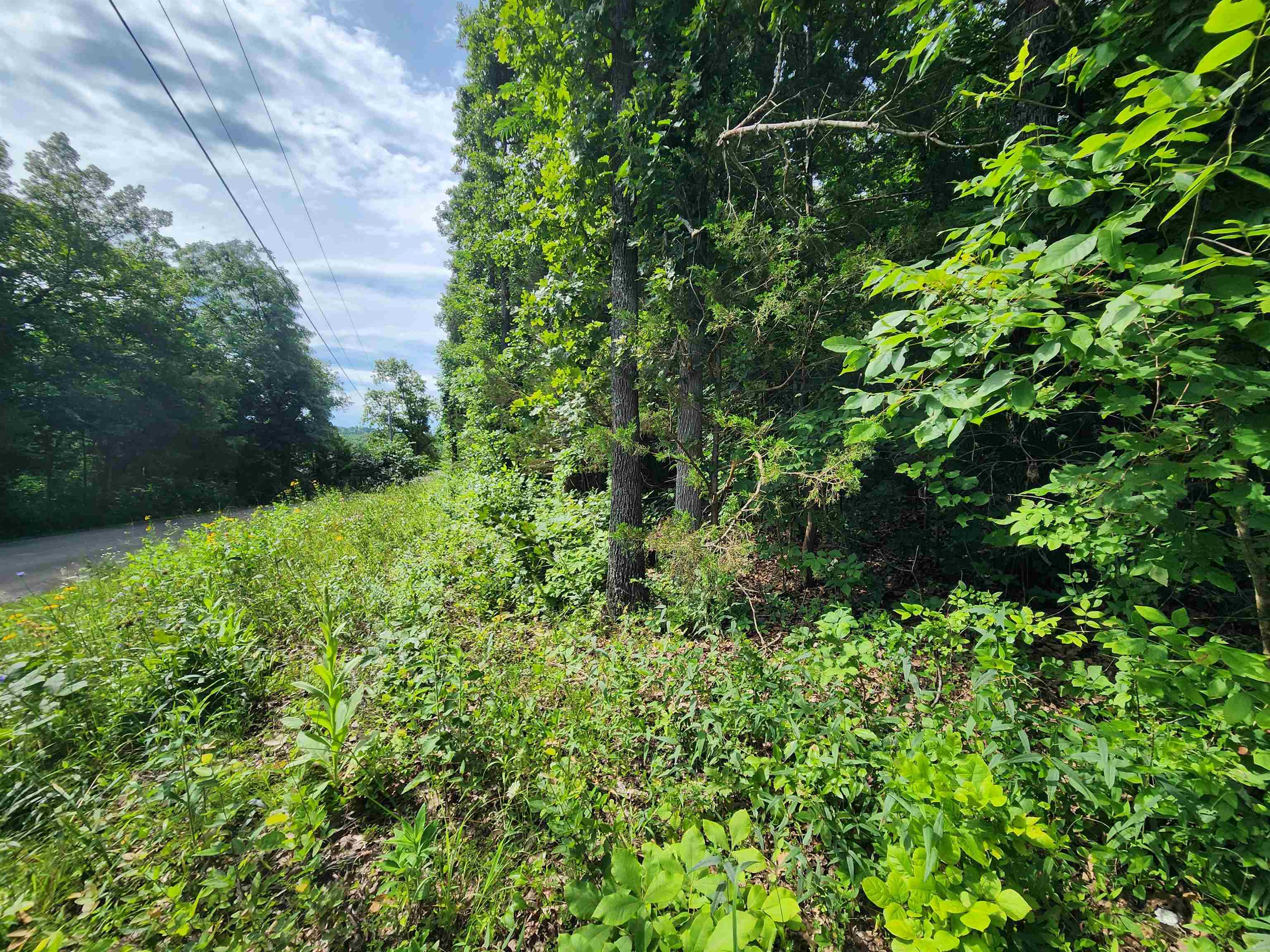  Pinal  Cherokee Village, AR