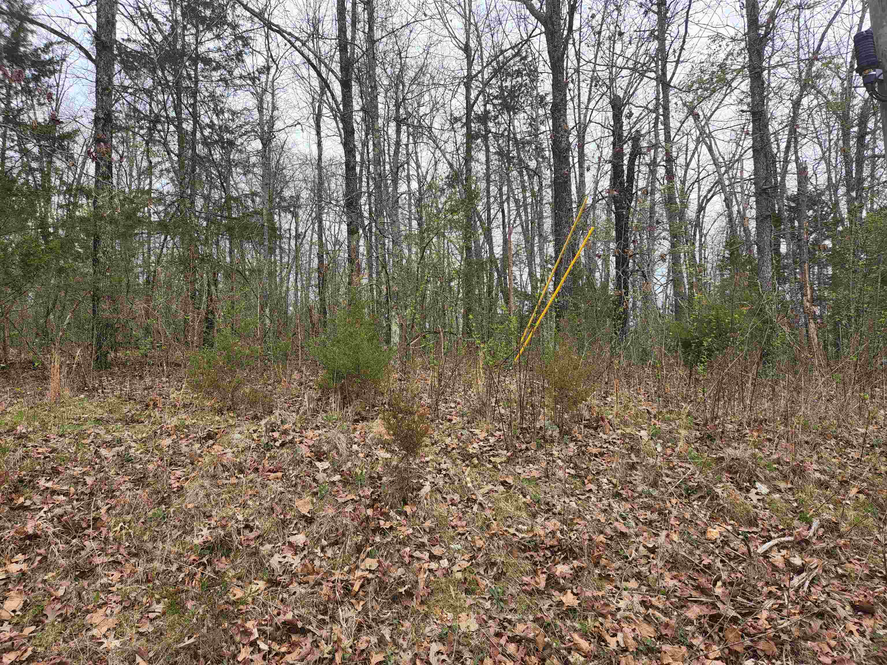  Pinal  Cherokee Village, AR