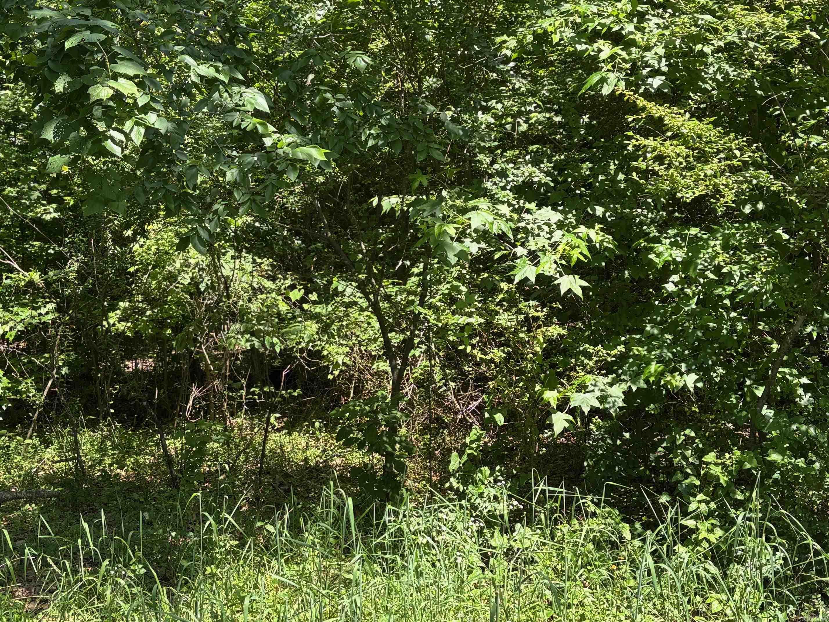 9999 ERVING RIDGE LOOP  Cabot, AR