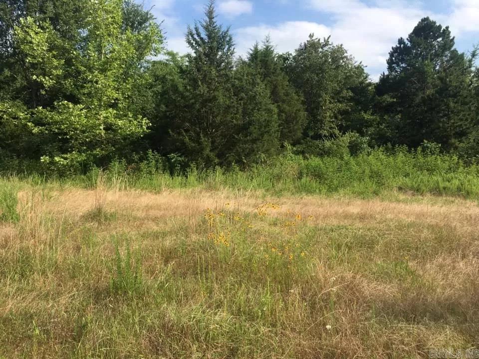 6350 Possum Hollow Road  Booneville, AR