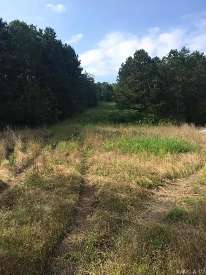 6350 Possum Hollow Road  Booneville, AR
