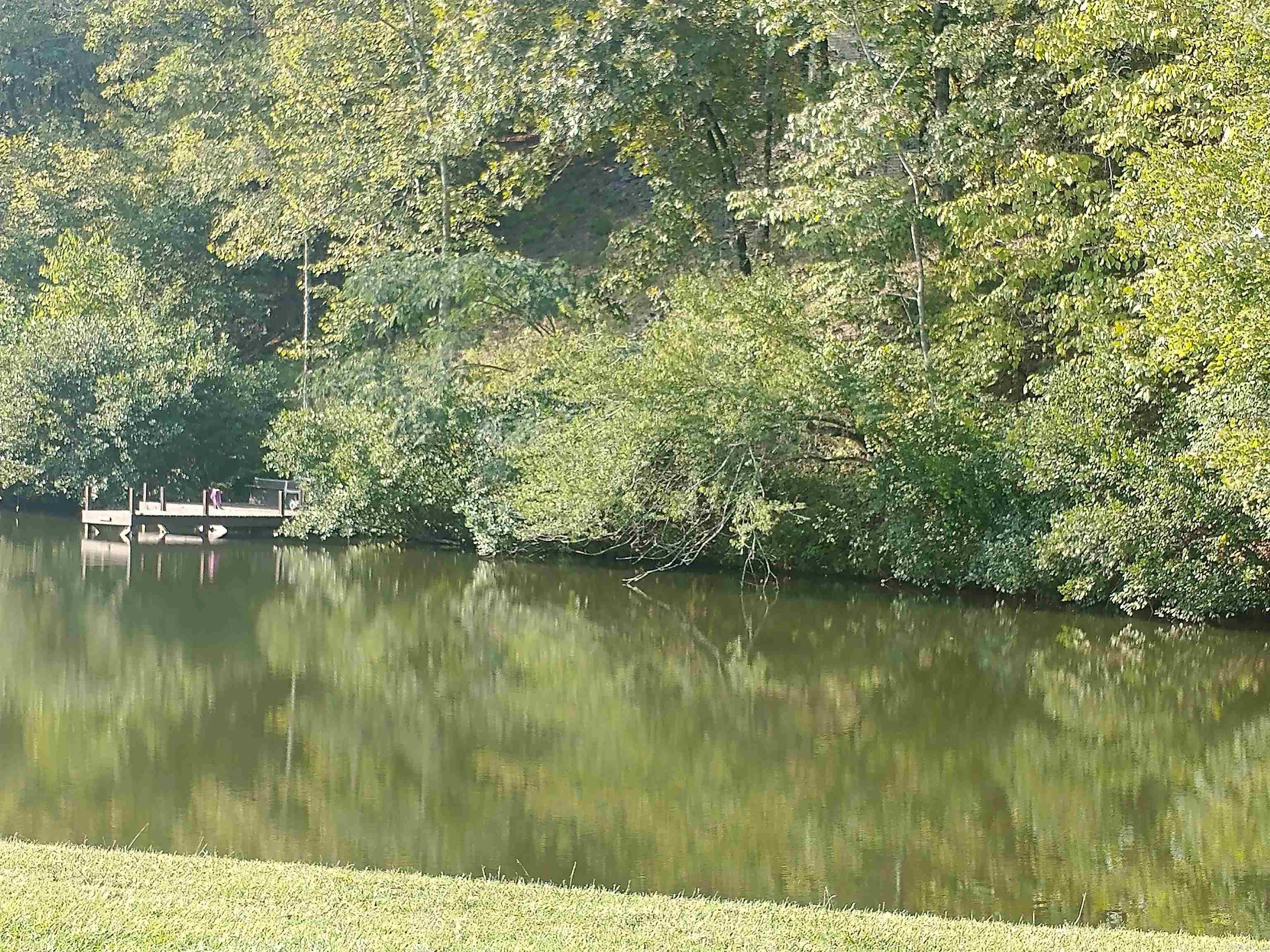 32 Cuenca  Hot Springs Village, AR
