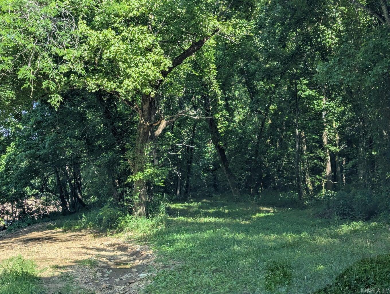 400 Weaver  Charlotte, AR