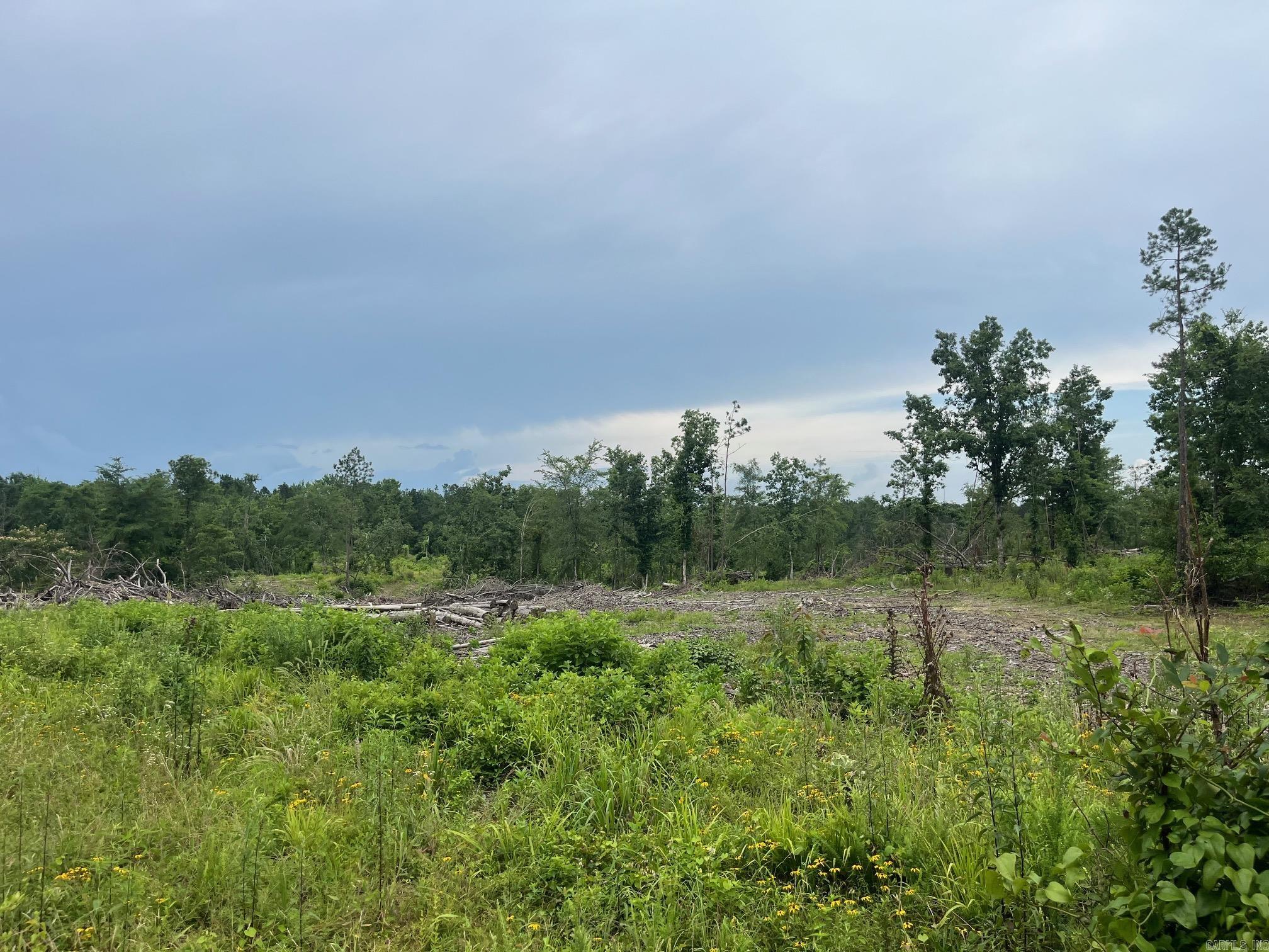 TBD Hwy 84  Amity, AR