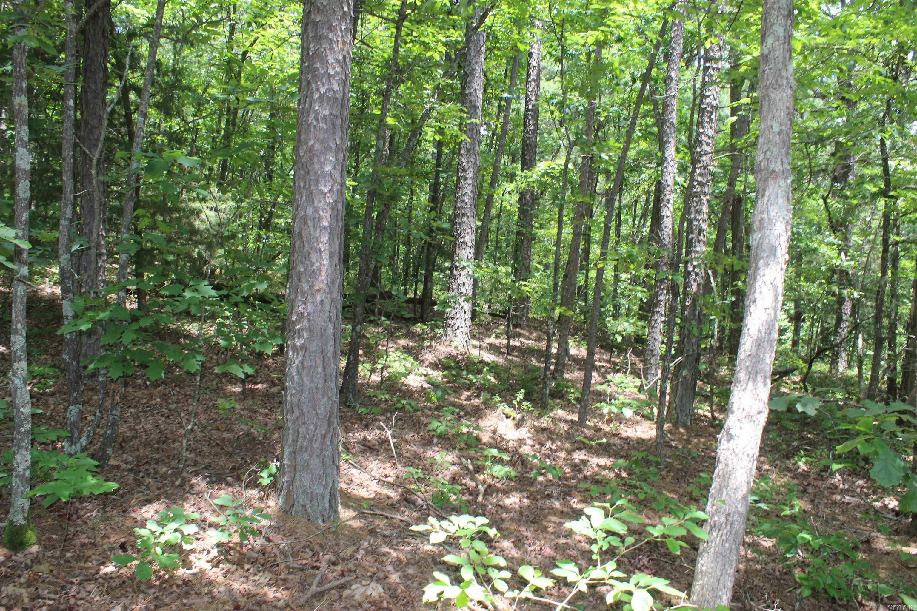 0 Harry Brown Rd.  Leslie, AR