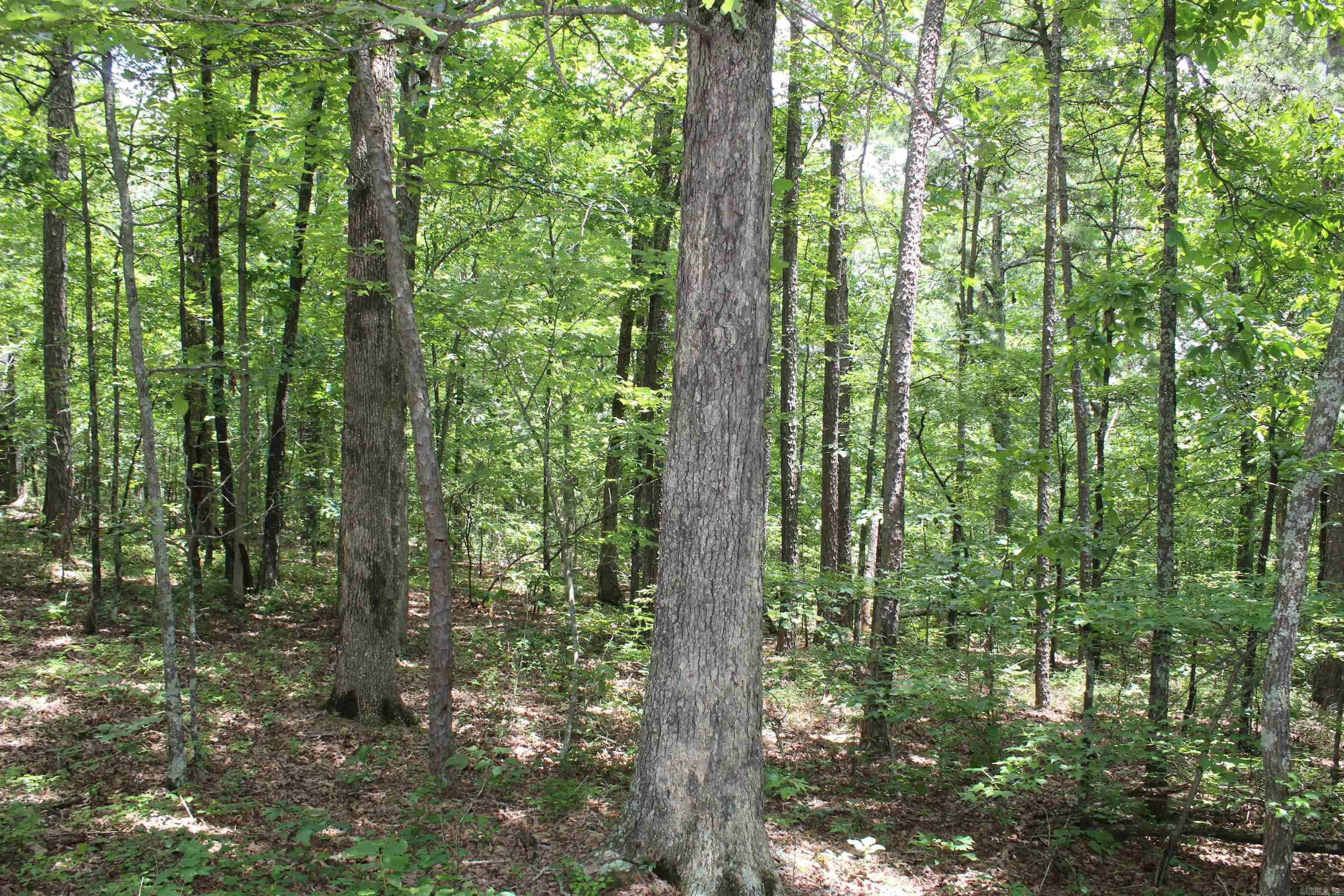 0 Harry Brown Rd.  Leslie, AR