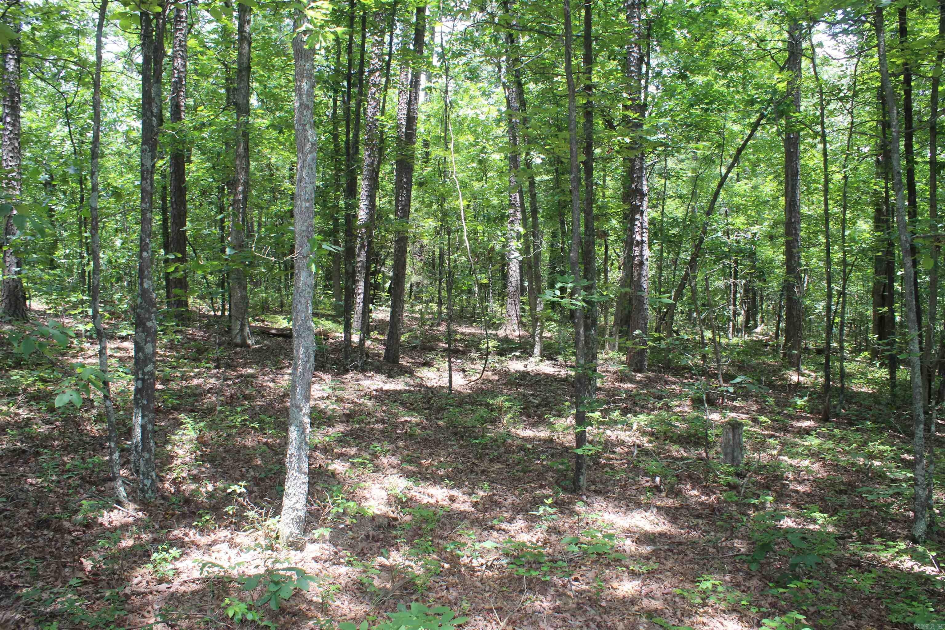 0 Harry Brown Rd.  Leslie, AR