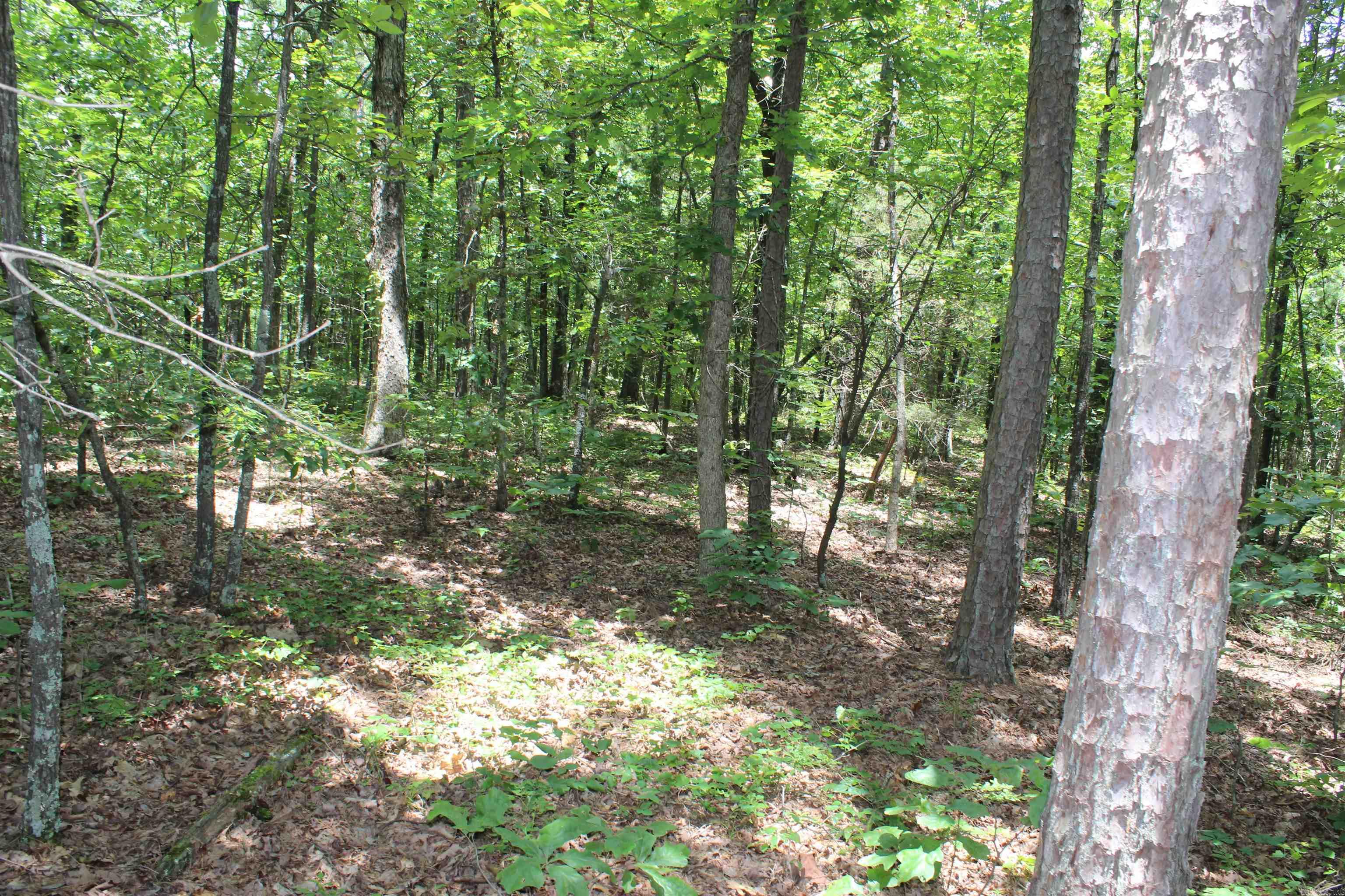 0 Harry Brown Rd.  Leslie, AR