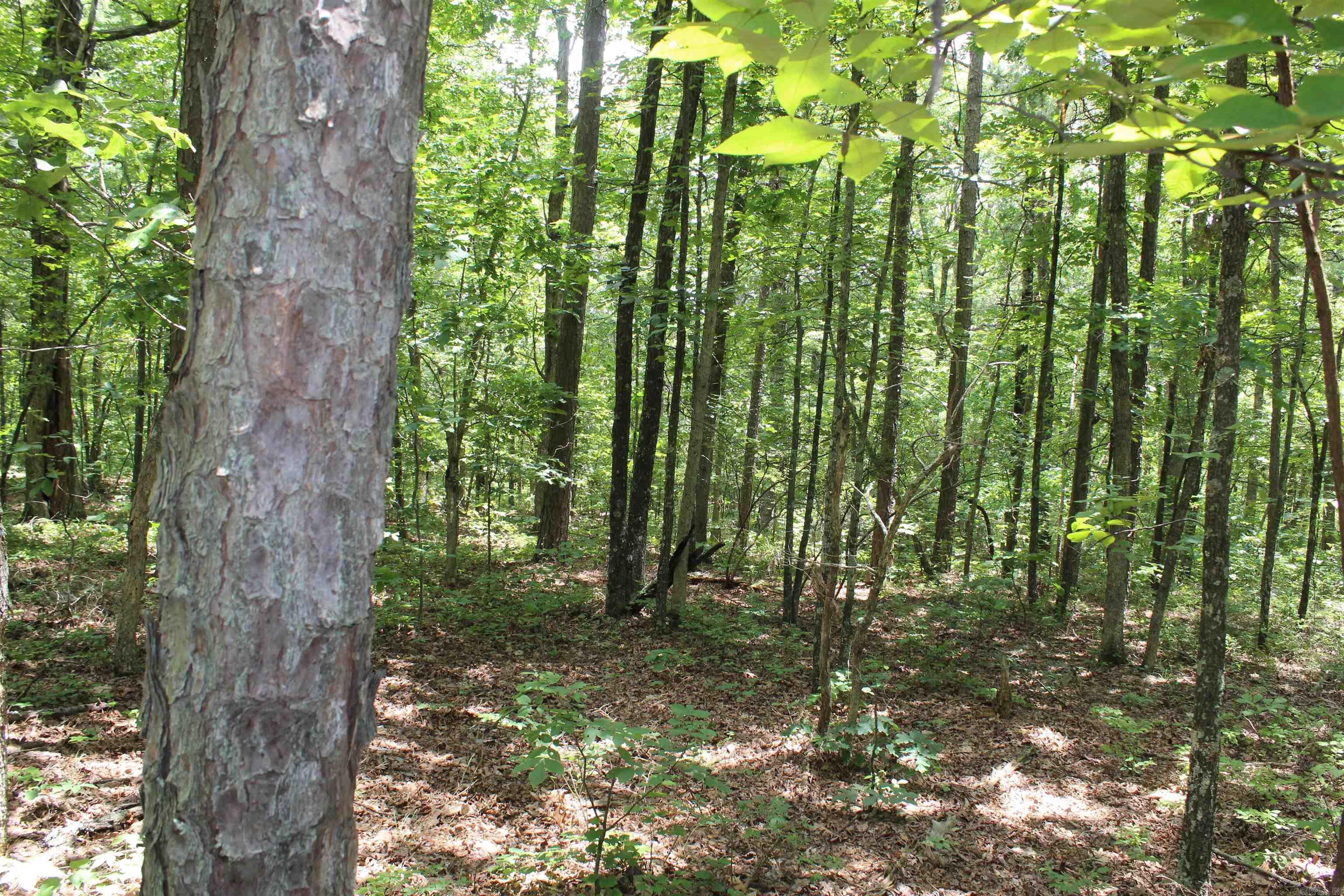 0 Harry Brown Rd.  Leslie, AR