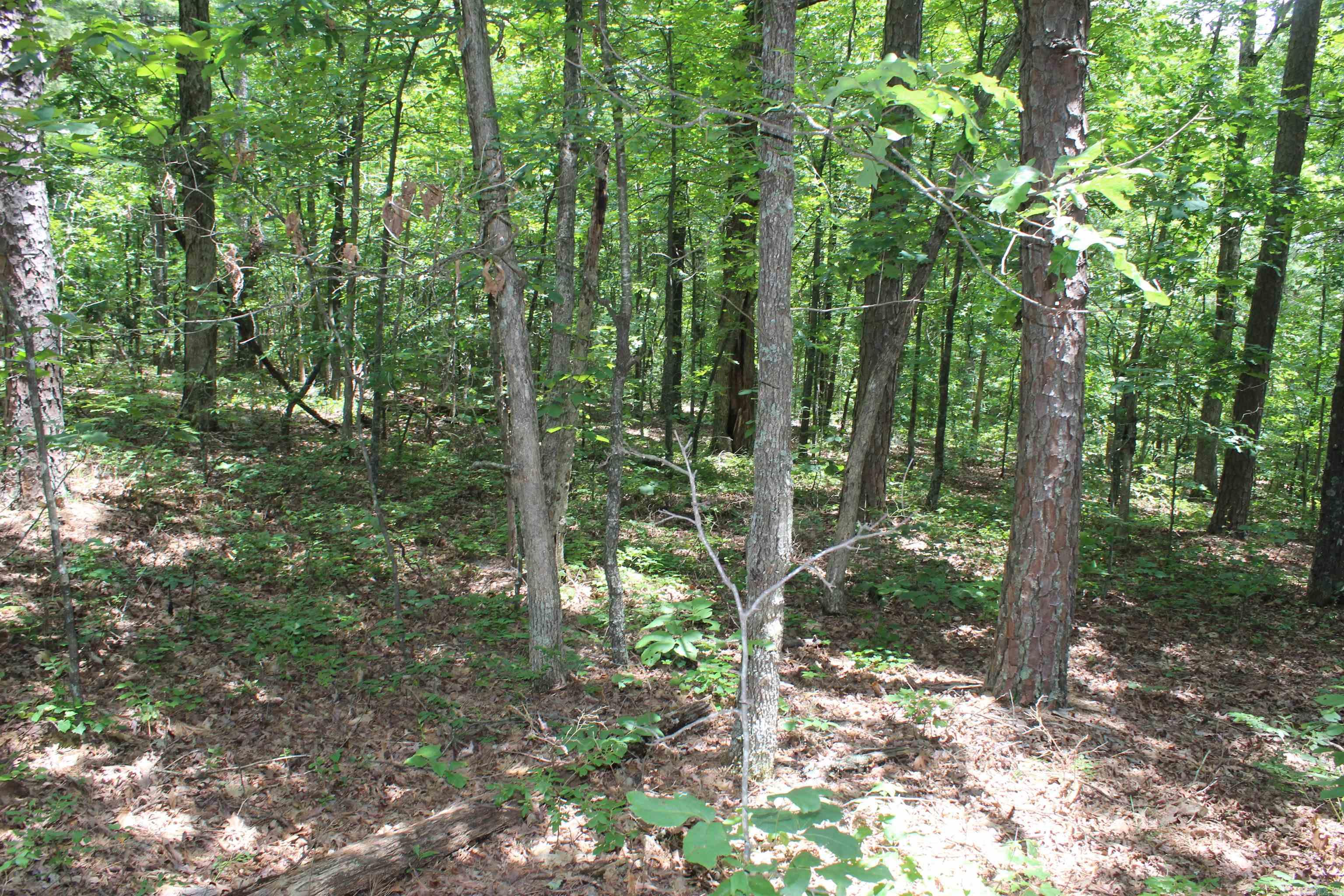 0 Harry Brown Rd.  Leslie, AR
