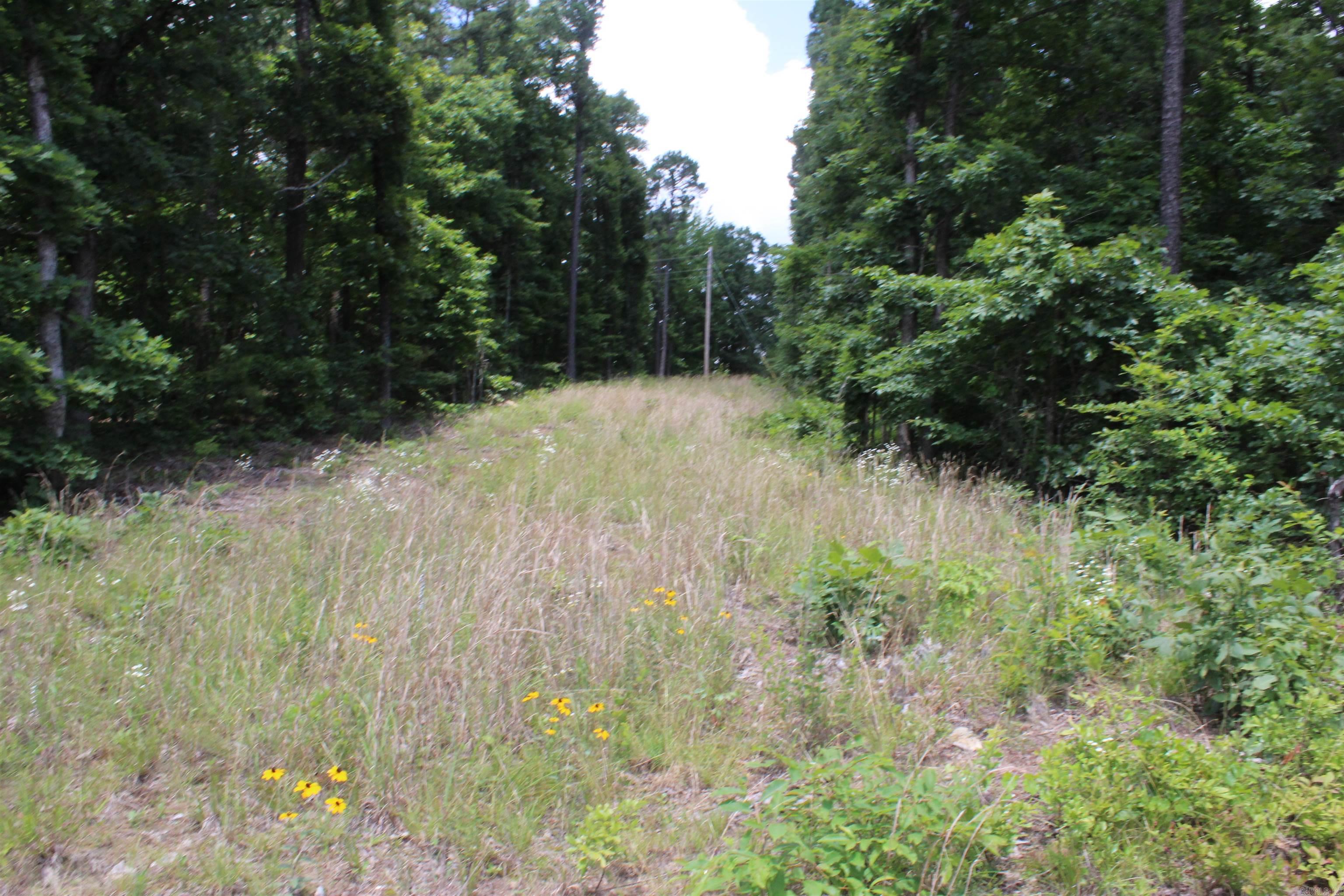 0 Harry Brown Rd.  Leslie, AR